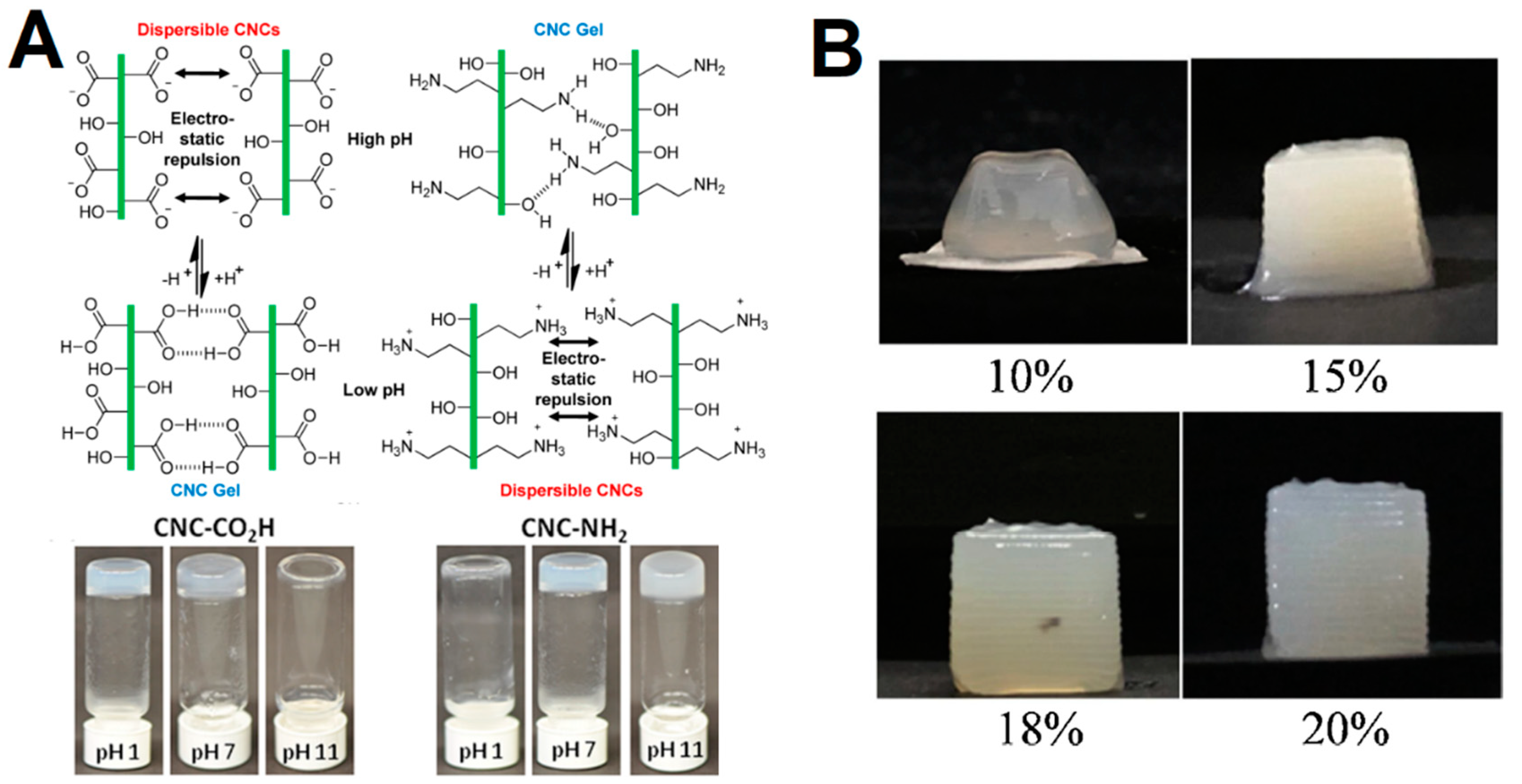 Gels 09 00574 g002 Gels 09 00574 g002