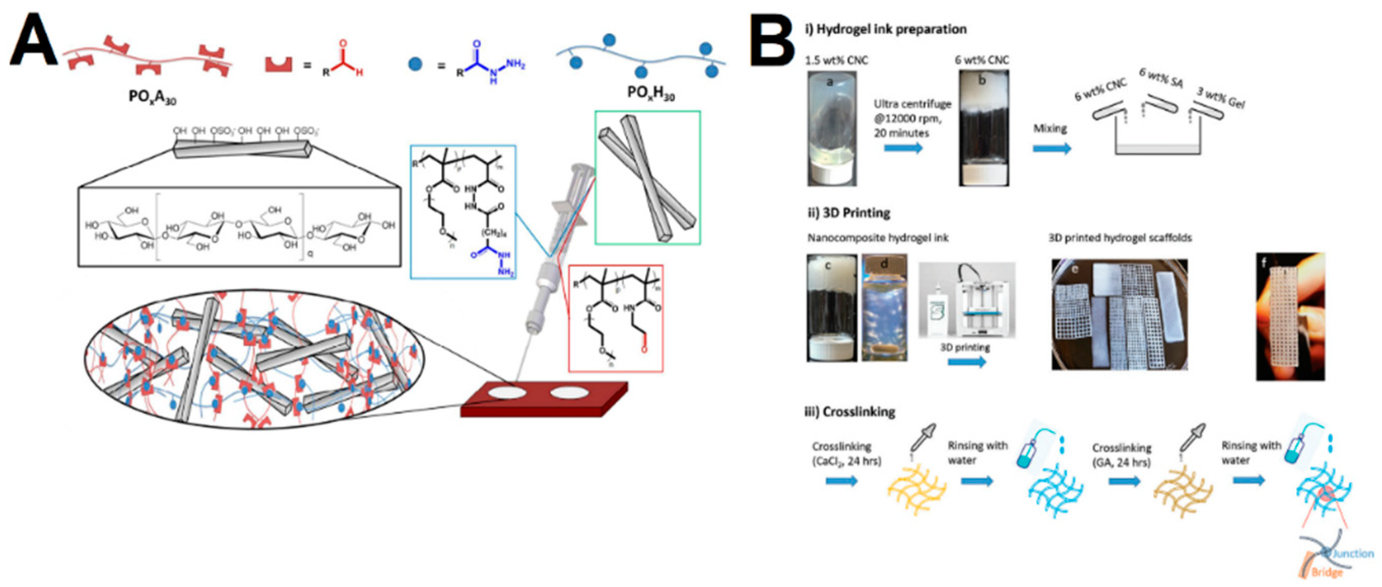 Gels 09 00574 g003 Gels 09 00574 g003