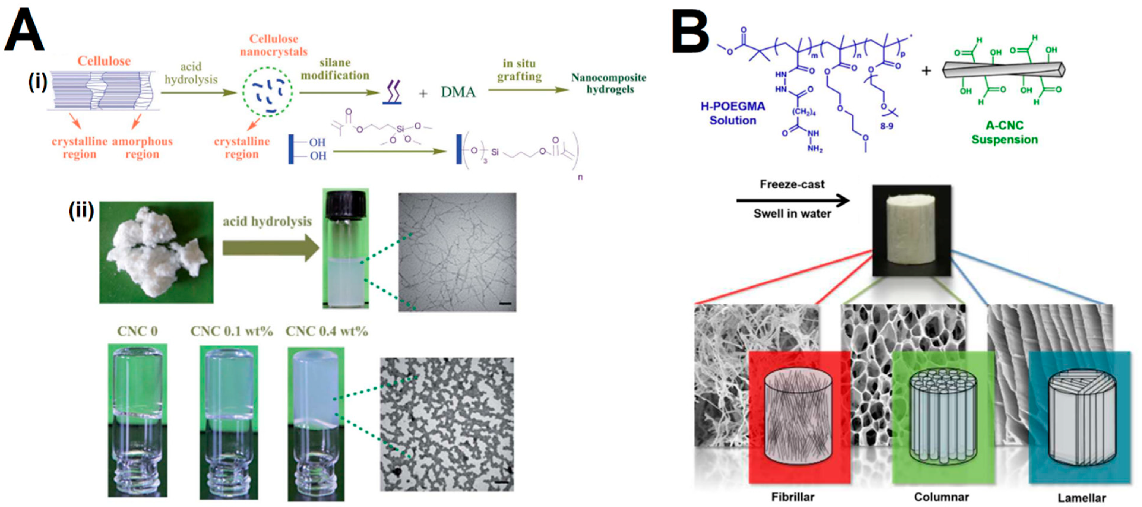 Gels 09 00574 g004 Gels 09 00574 g004