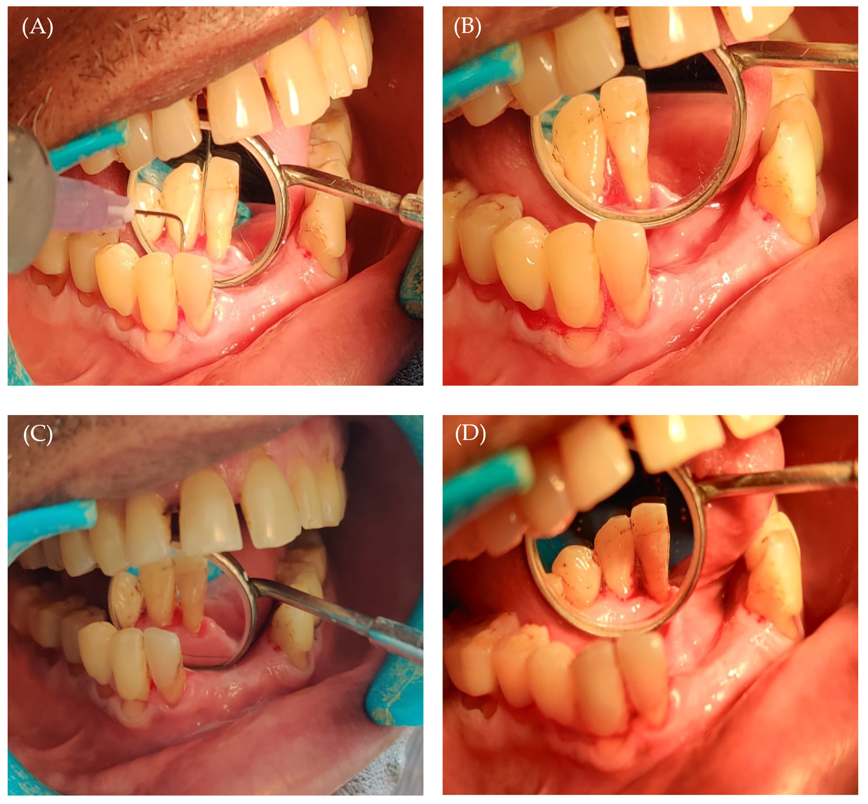 Gels 09 00577 g005 Gels 09 00577 g005