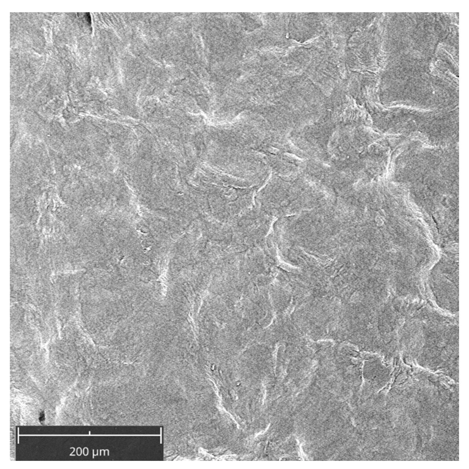 Gels 09 00584 g001 Gels 09 00584 g001