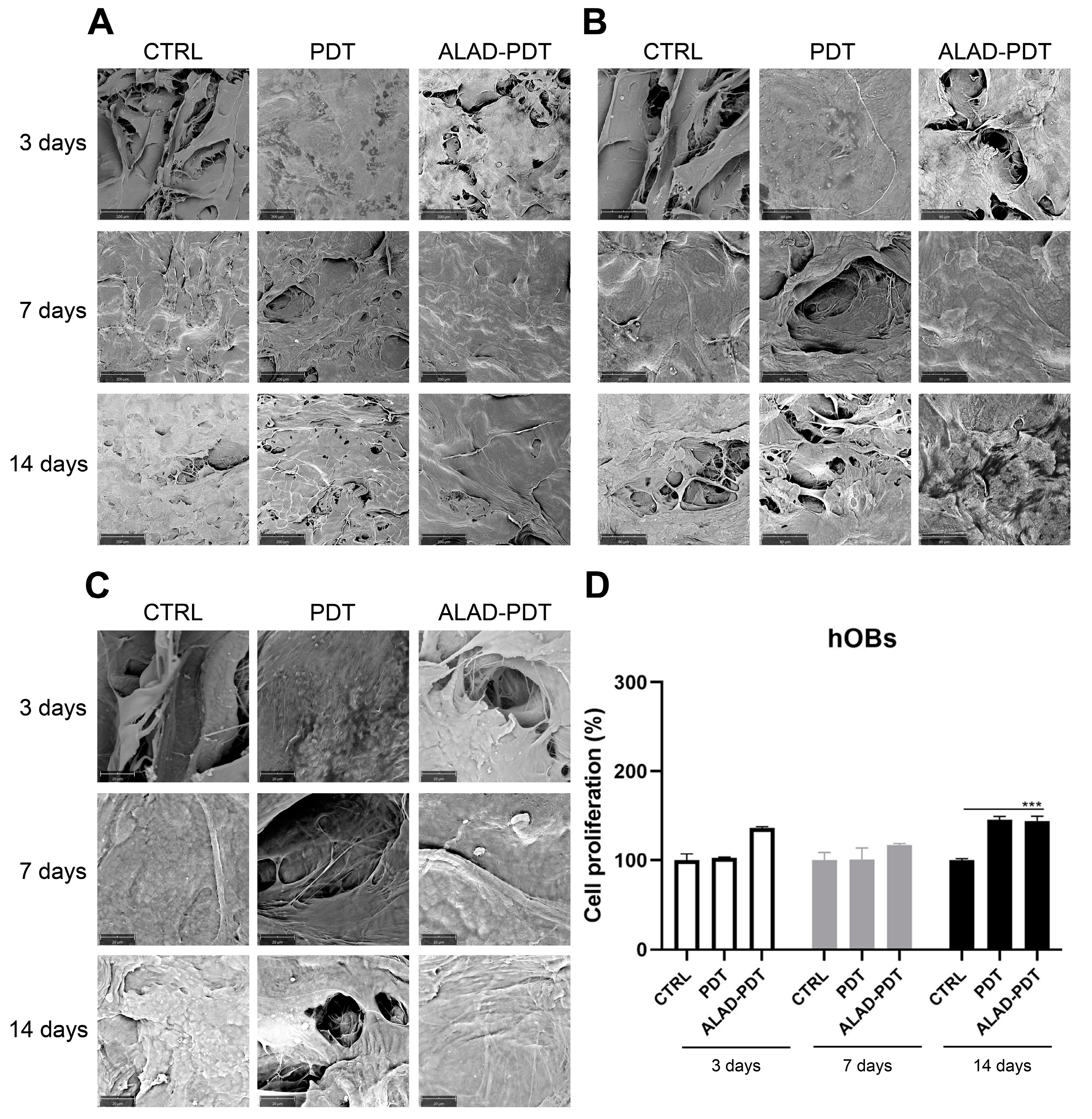 Gels 09 00584 g003 Gels 09 00584 g003