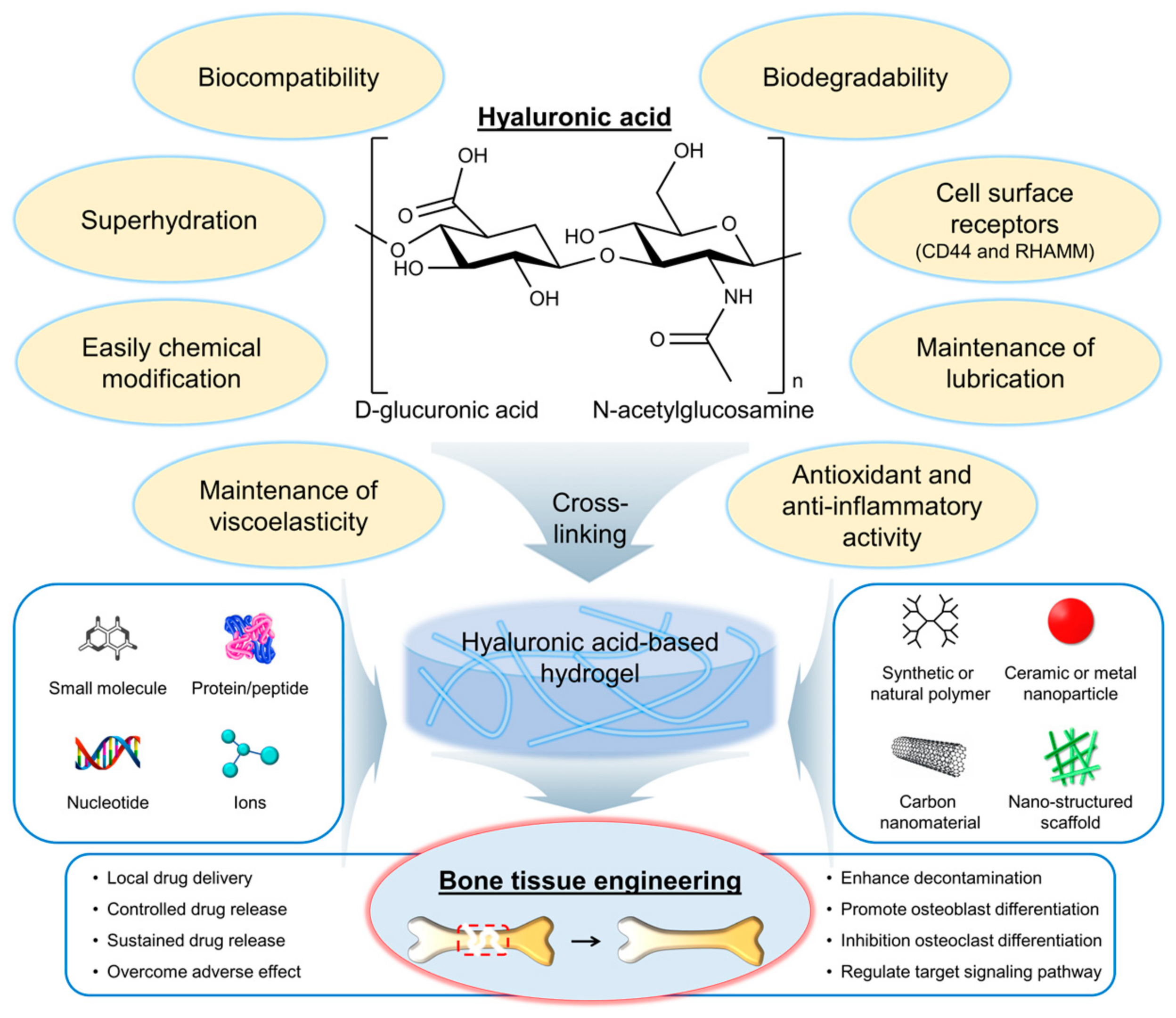 Gels Free FullText Recent Progress in HyaluronicAcidBased