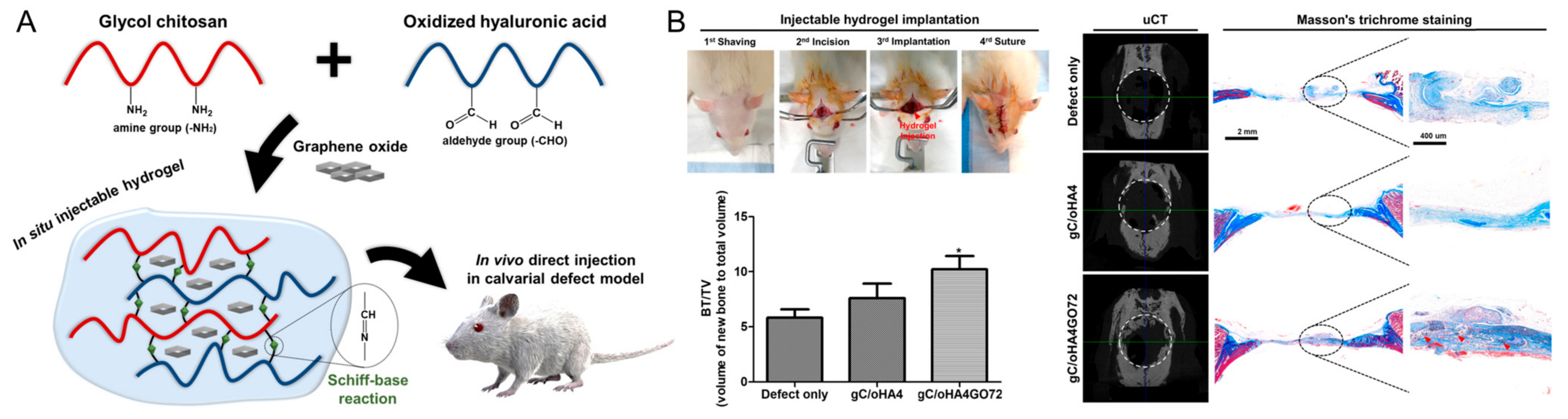 Gels Free FullText Recent Progress in HyaluronicAcidBased