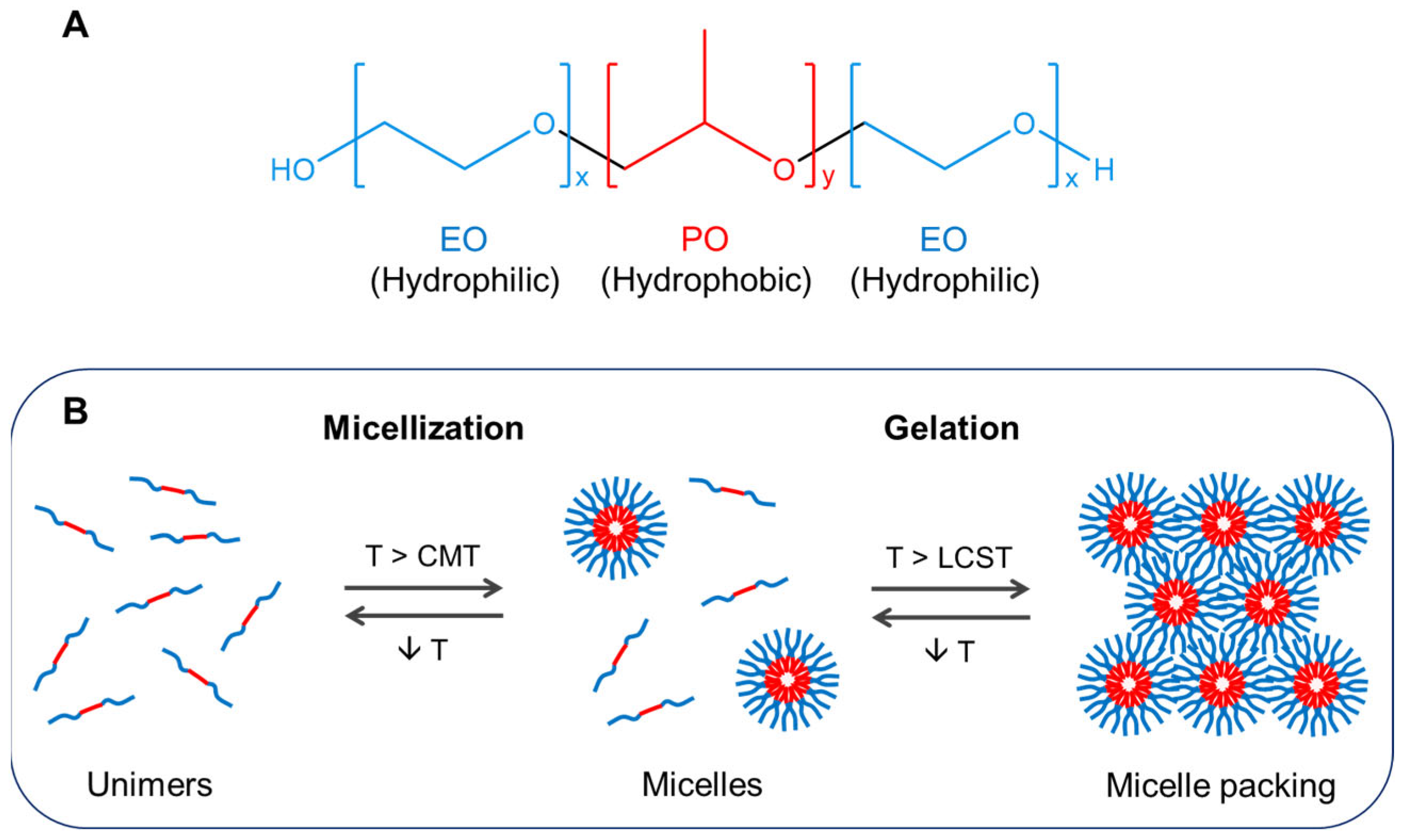 Gels 09 00593 g001 Gels 09 00593 g001