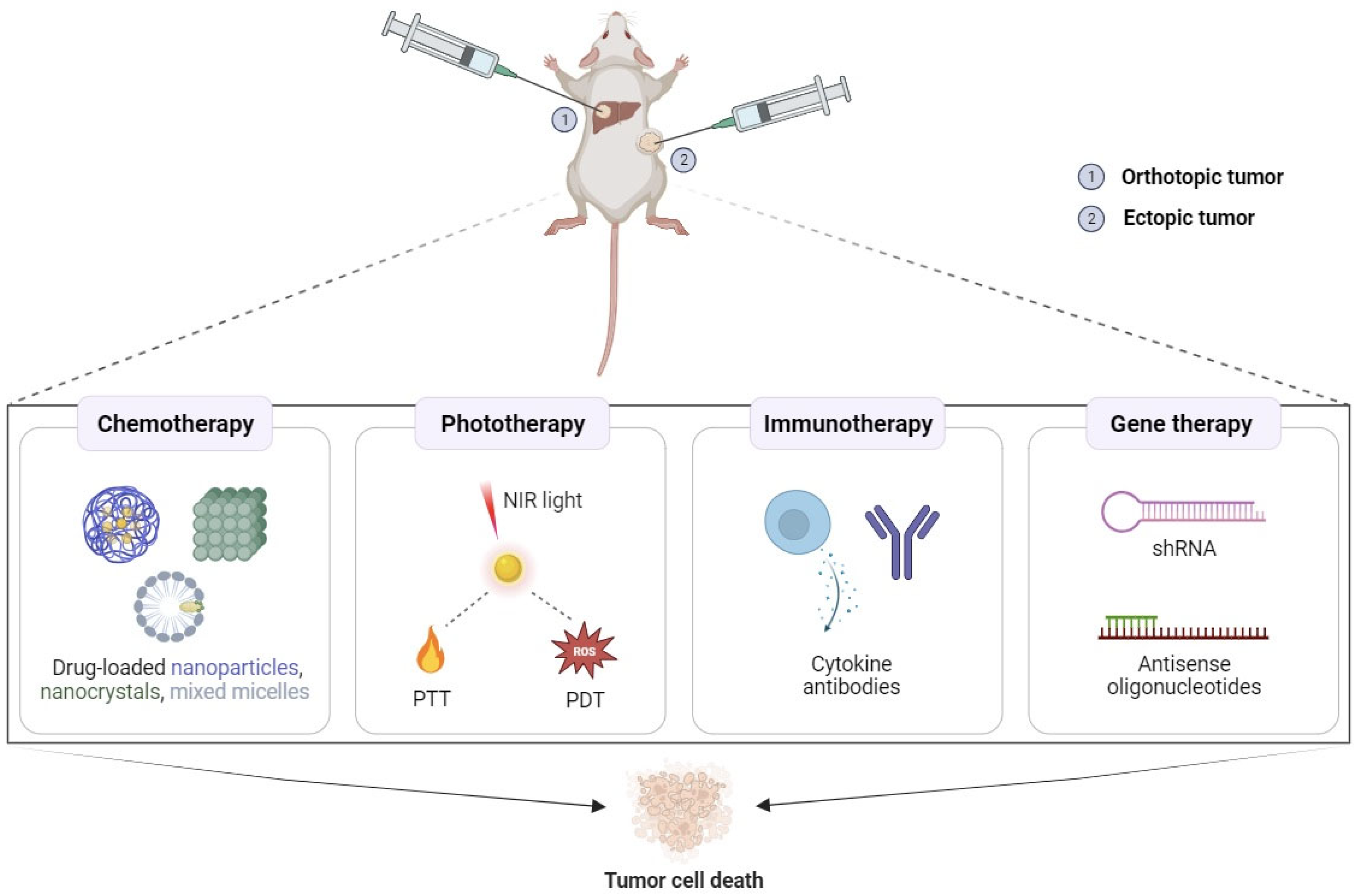 Gels 09 00593 g002 Gels 09 00593 g002