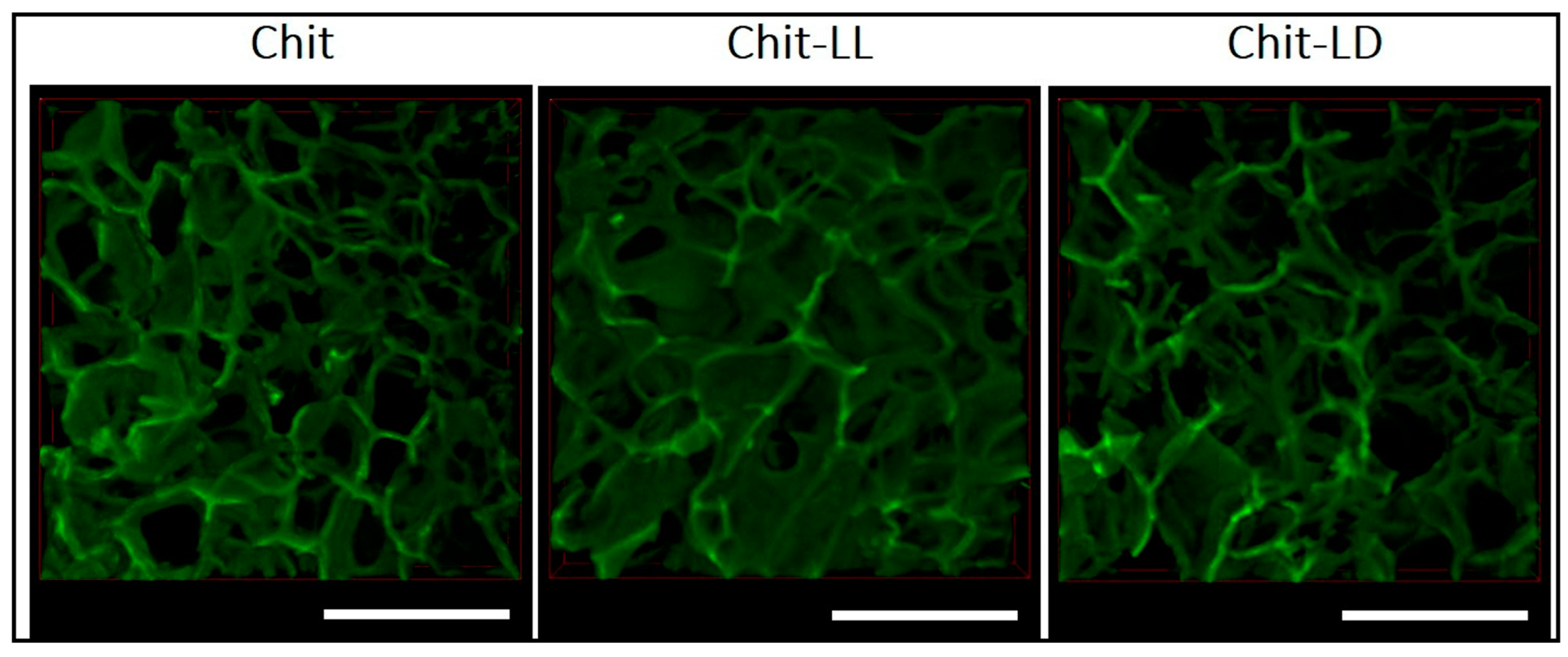 Gels 09 00594 g006 Gels 09 00594 g006