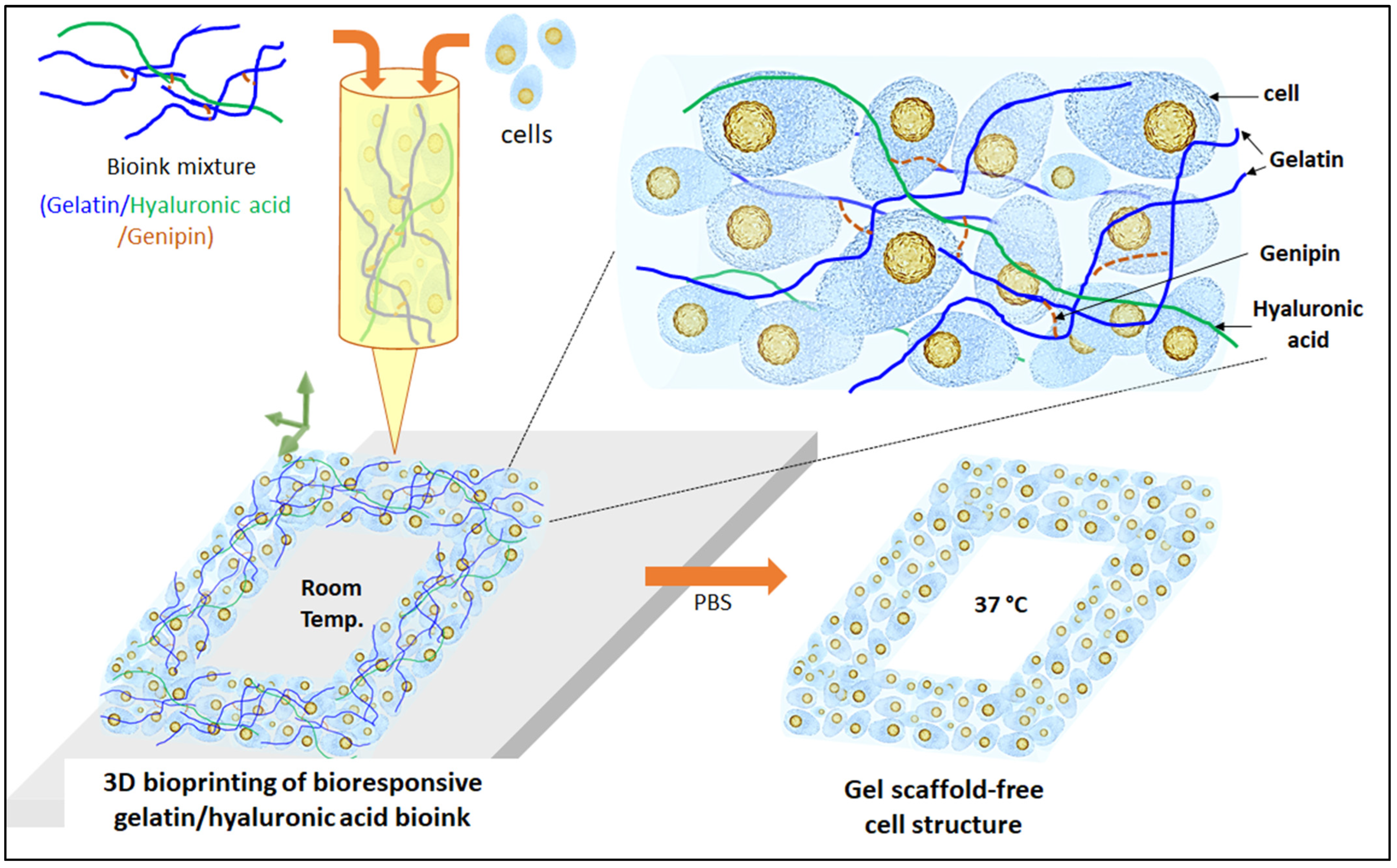 Gels 09 00601 g001 Gels 09 00601 g001