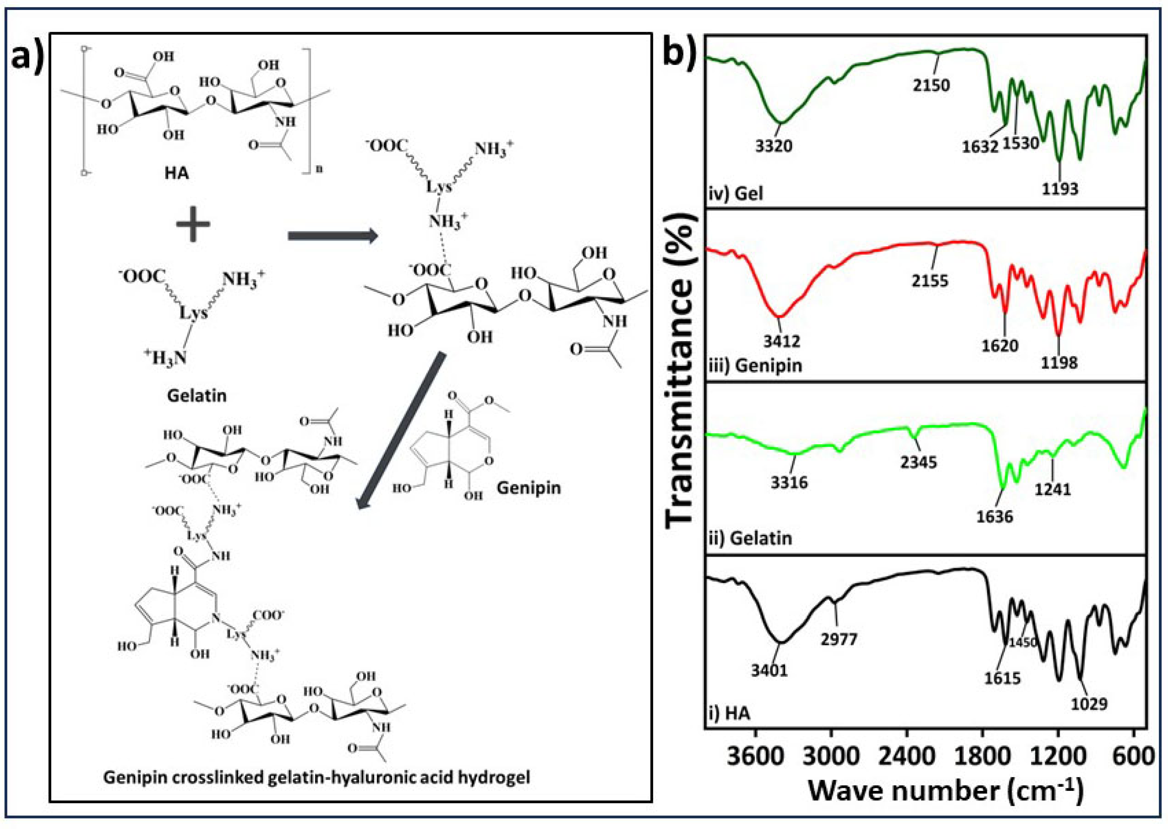 Gels 09 00601 g002 Gels 09 00601 g002