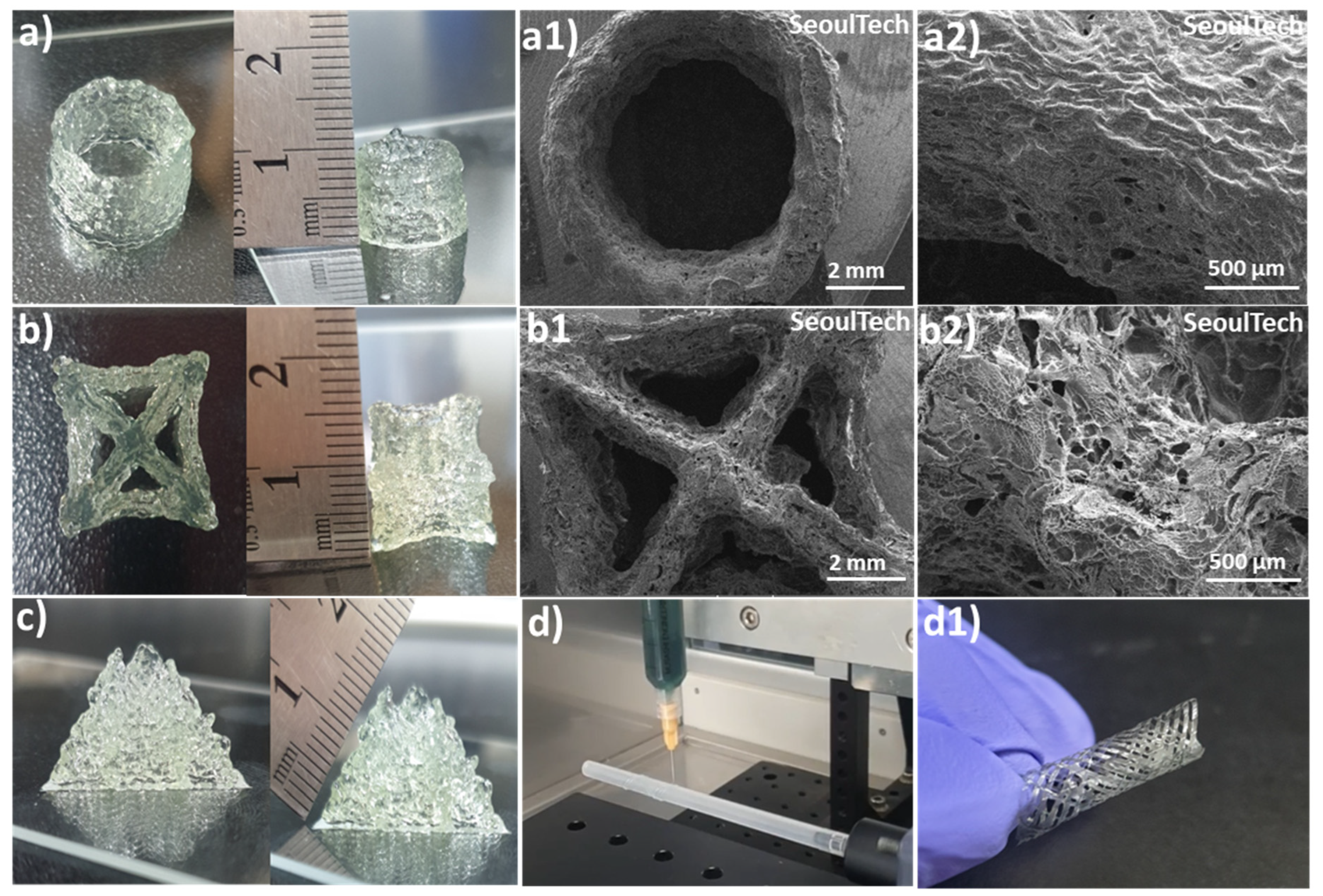 Gels 09 00601 g006 Gels 09 00601 g006