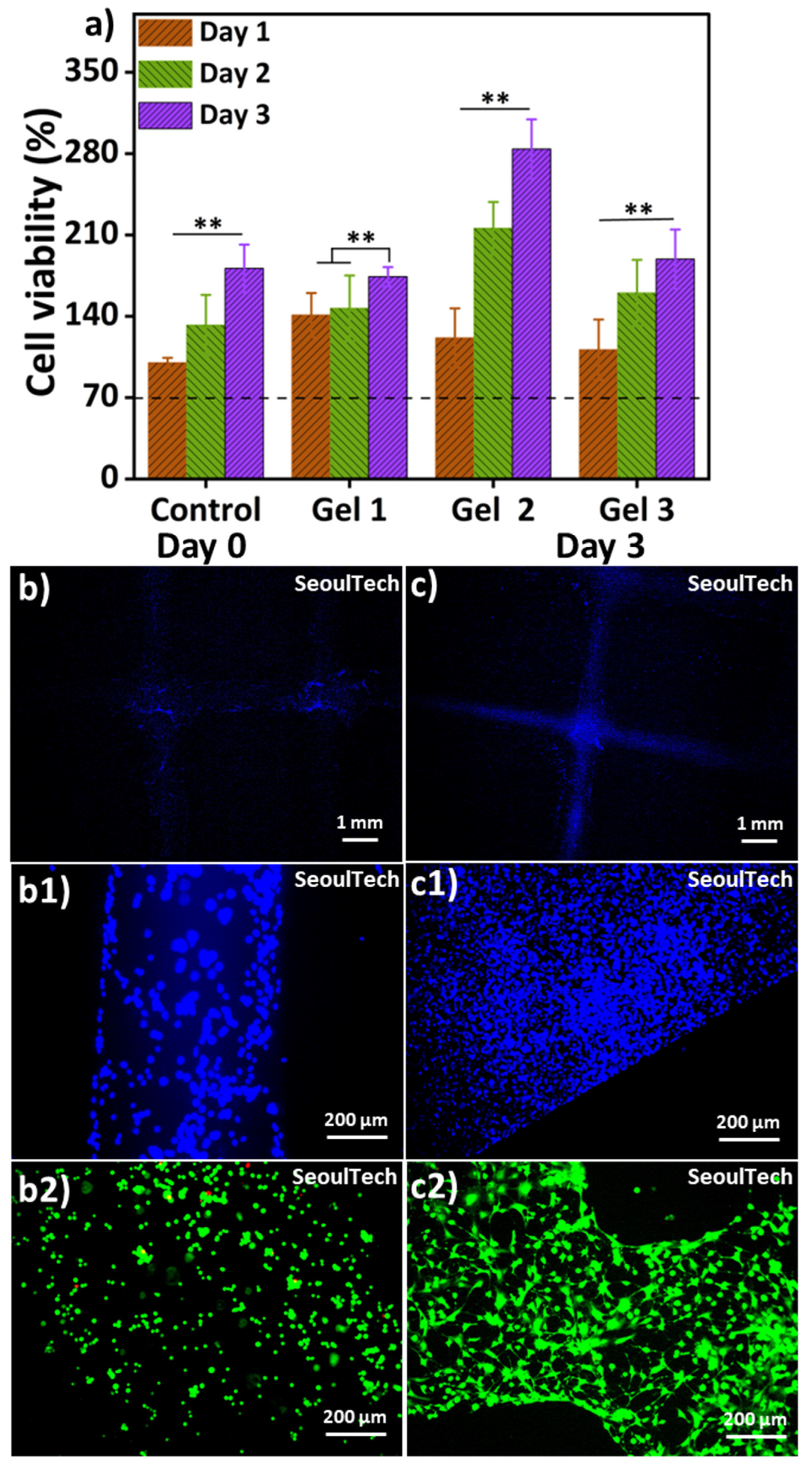 Gels 09 00601 g007 Gels 09 00601 g007