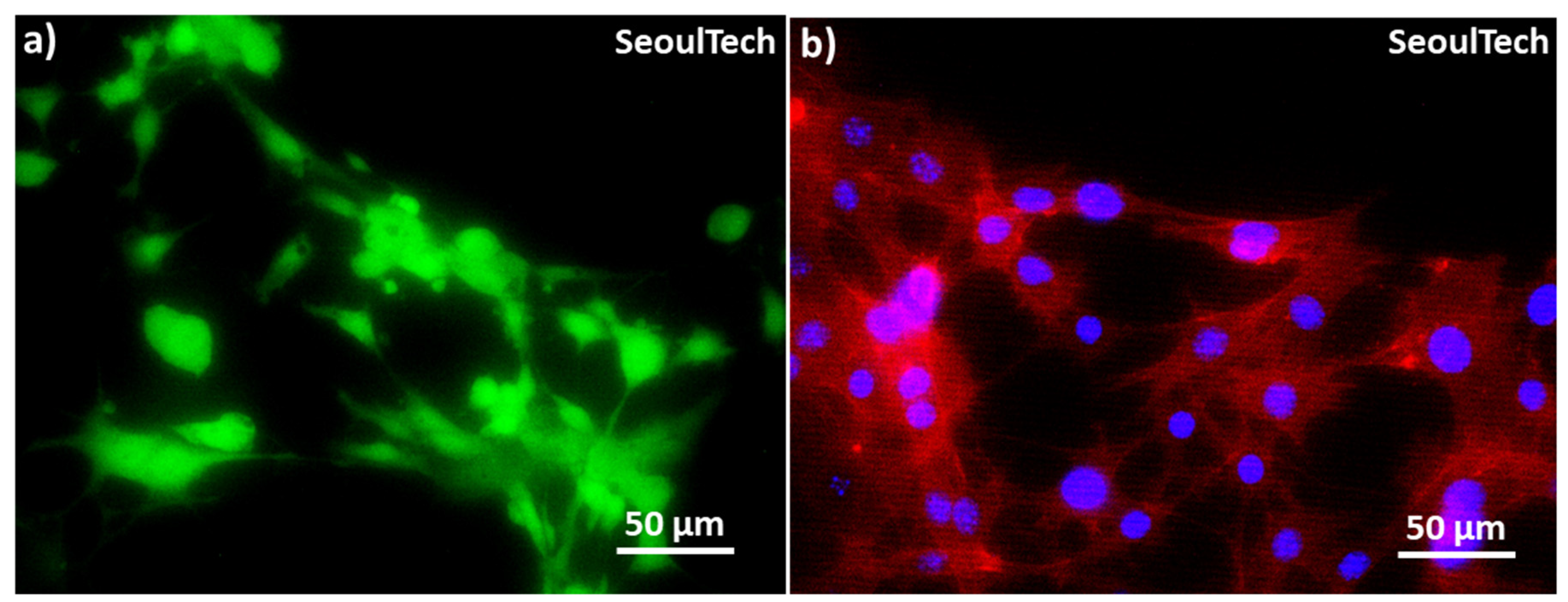Gels 09 00601 g008 Gels 09 00601 g008