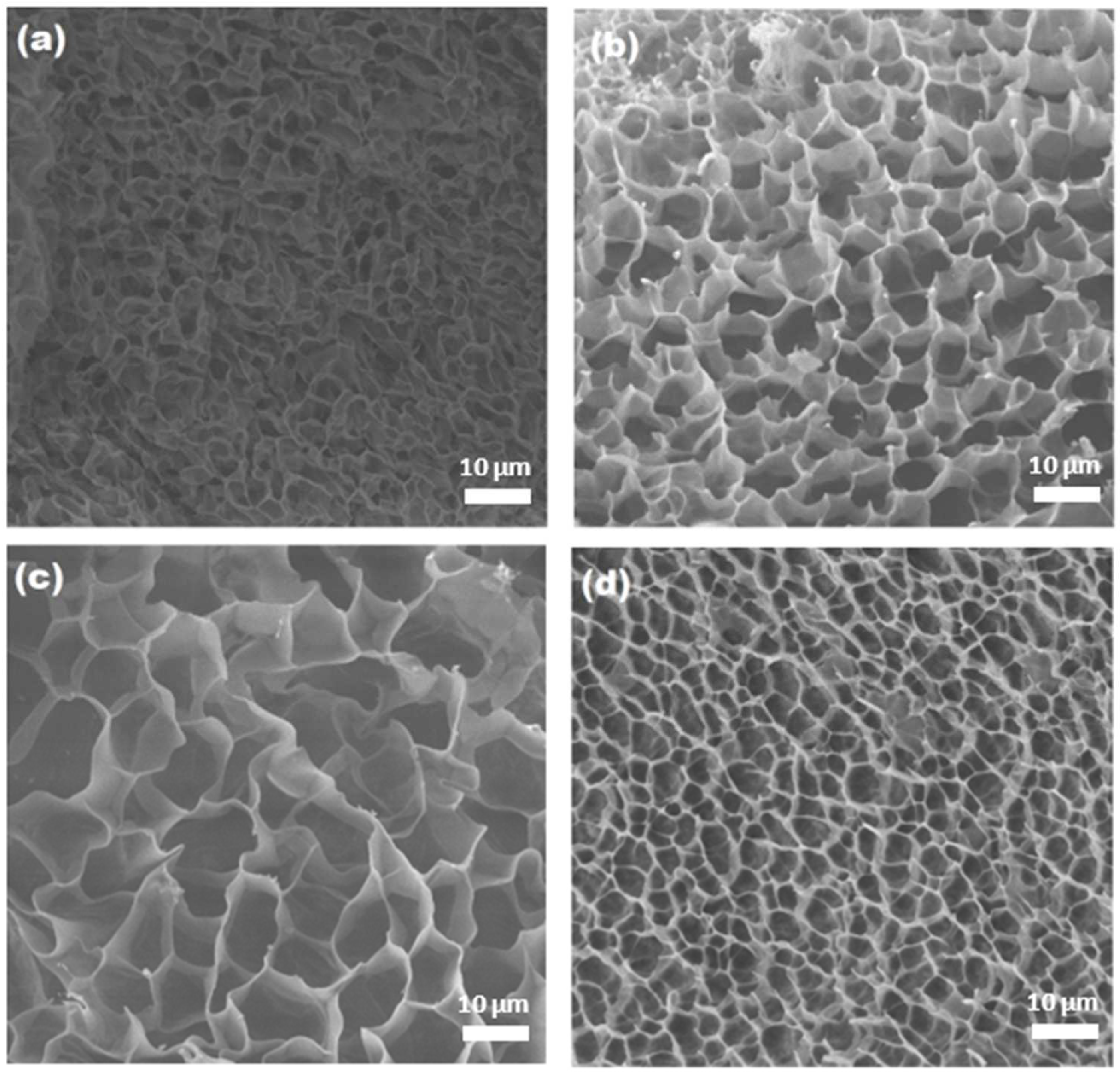 Gels 09 00602 g006 Gels 09 00602 g006