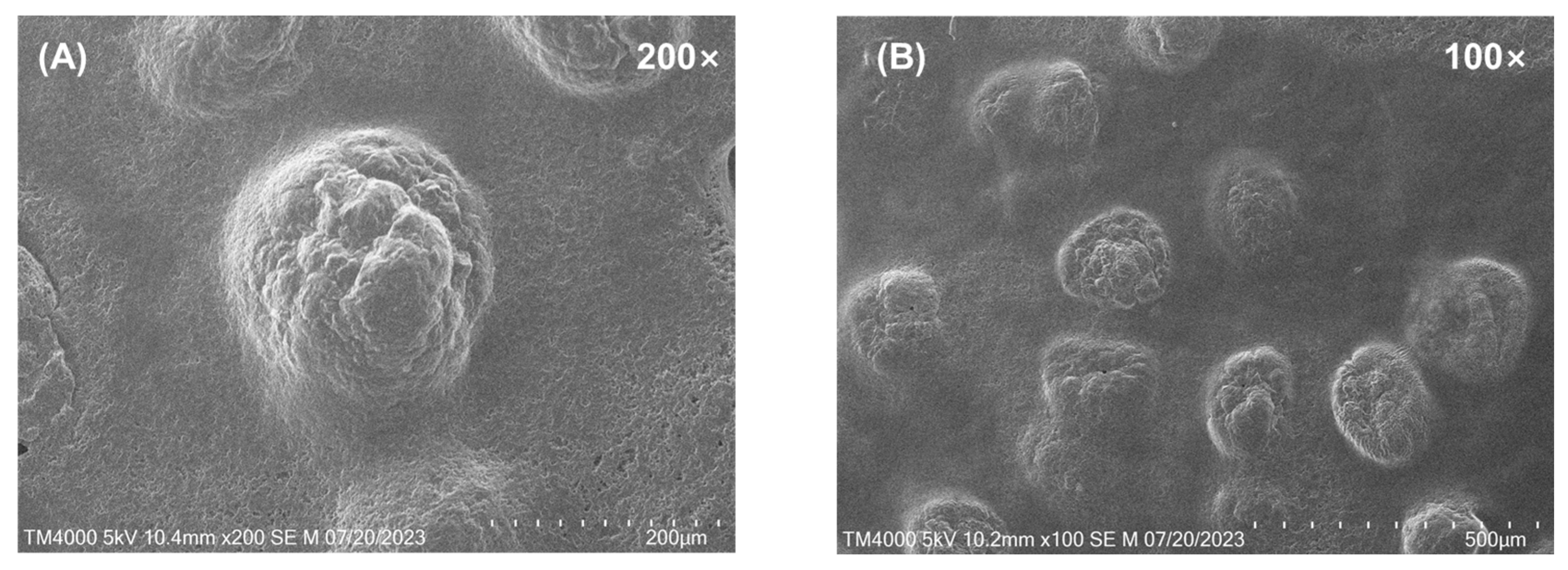 Gels 09 00610 g001 Gels 09 00610 g001