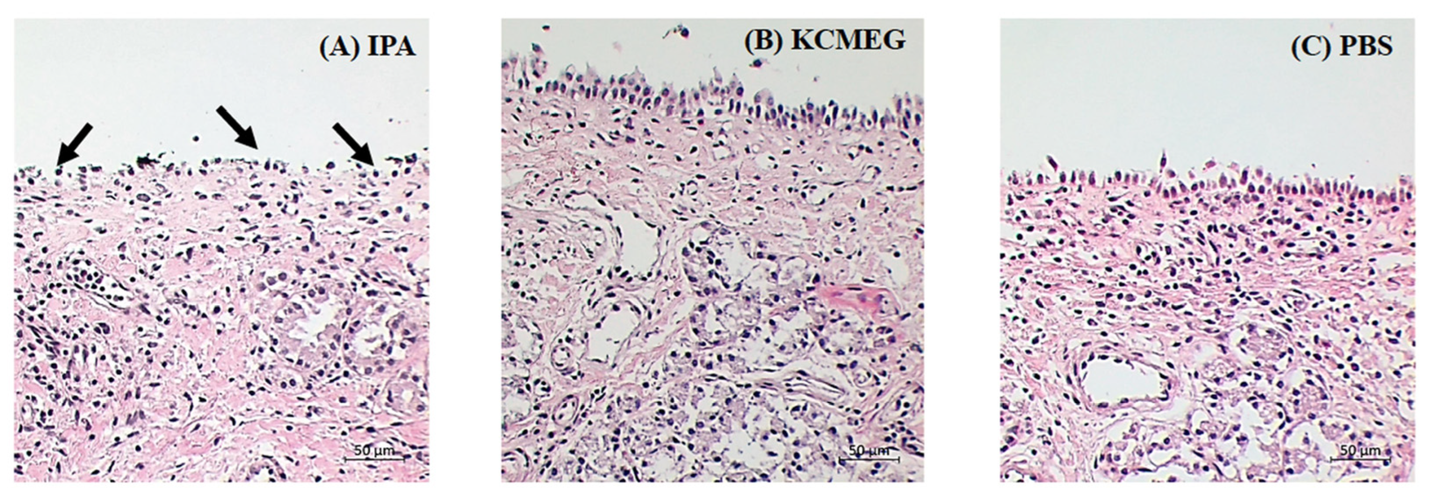 Gels 09 00610 g007 Gels 09 00610 g007