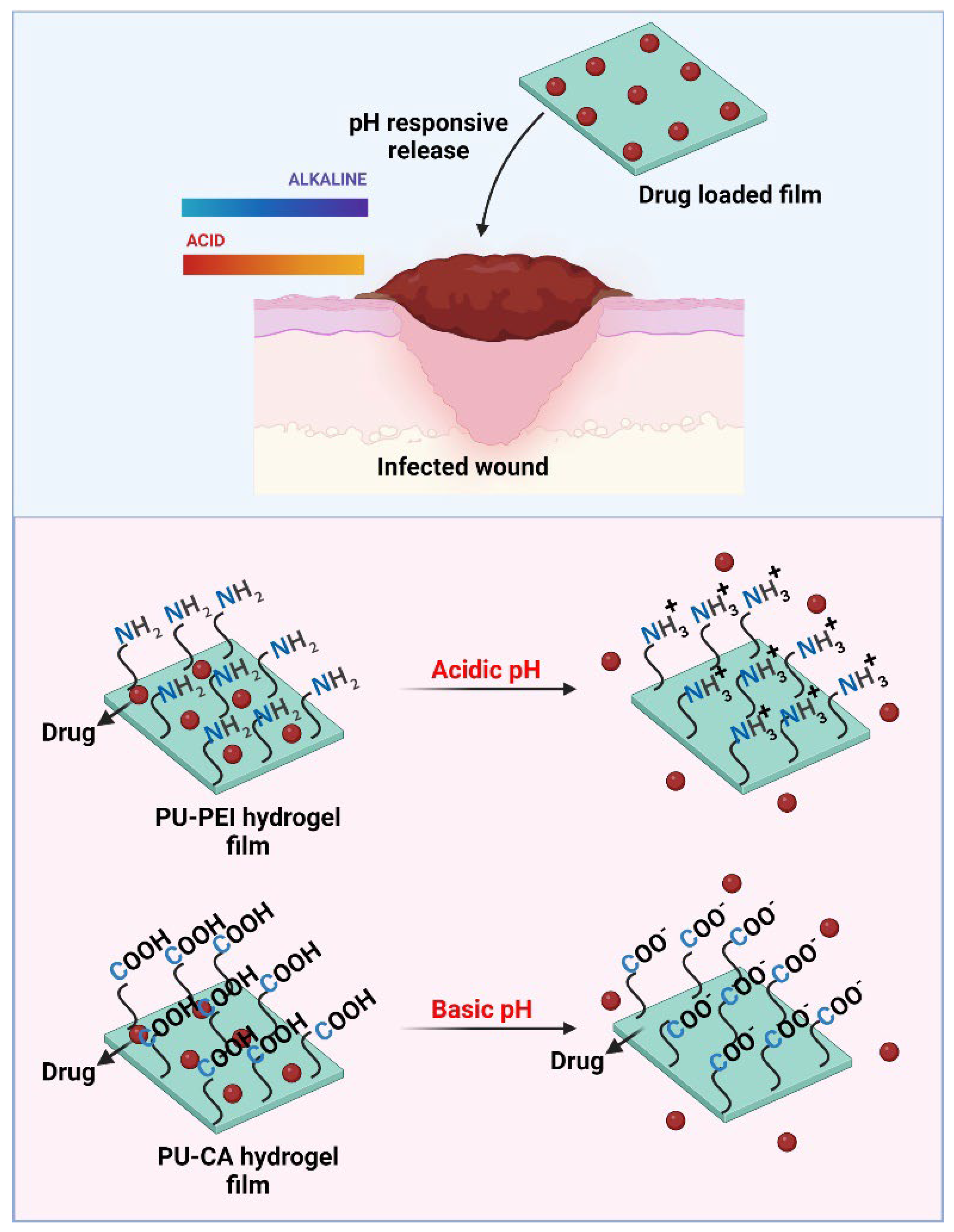 Gels 09 00611 g001 Gels 09 00611 g001