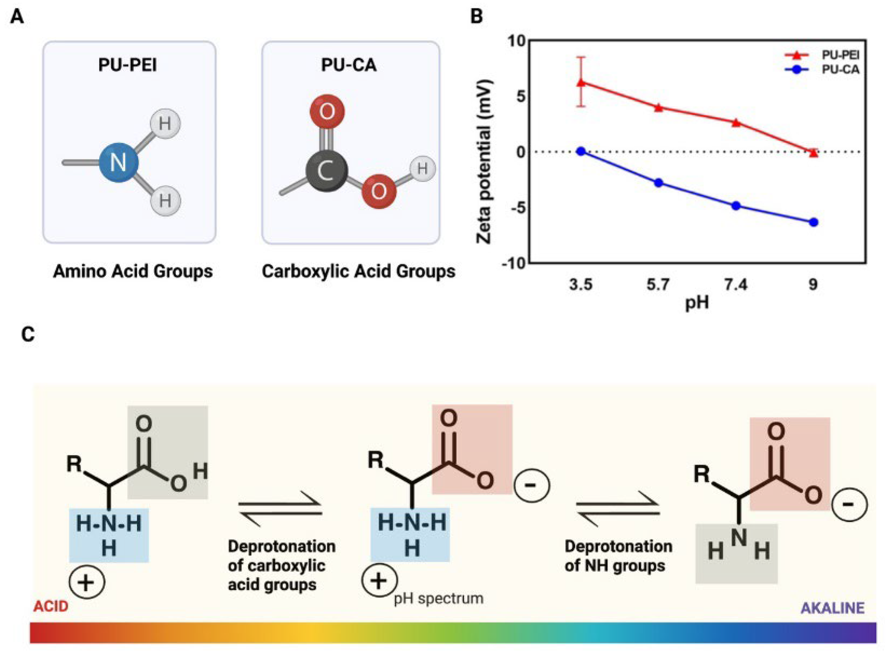Gels 09 00611 g005 Gels 09 00611 g005
