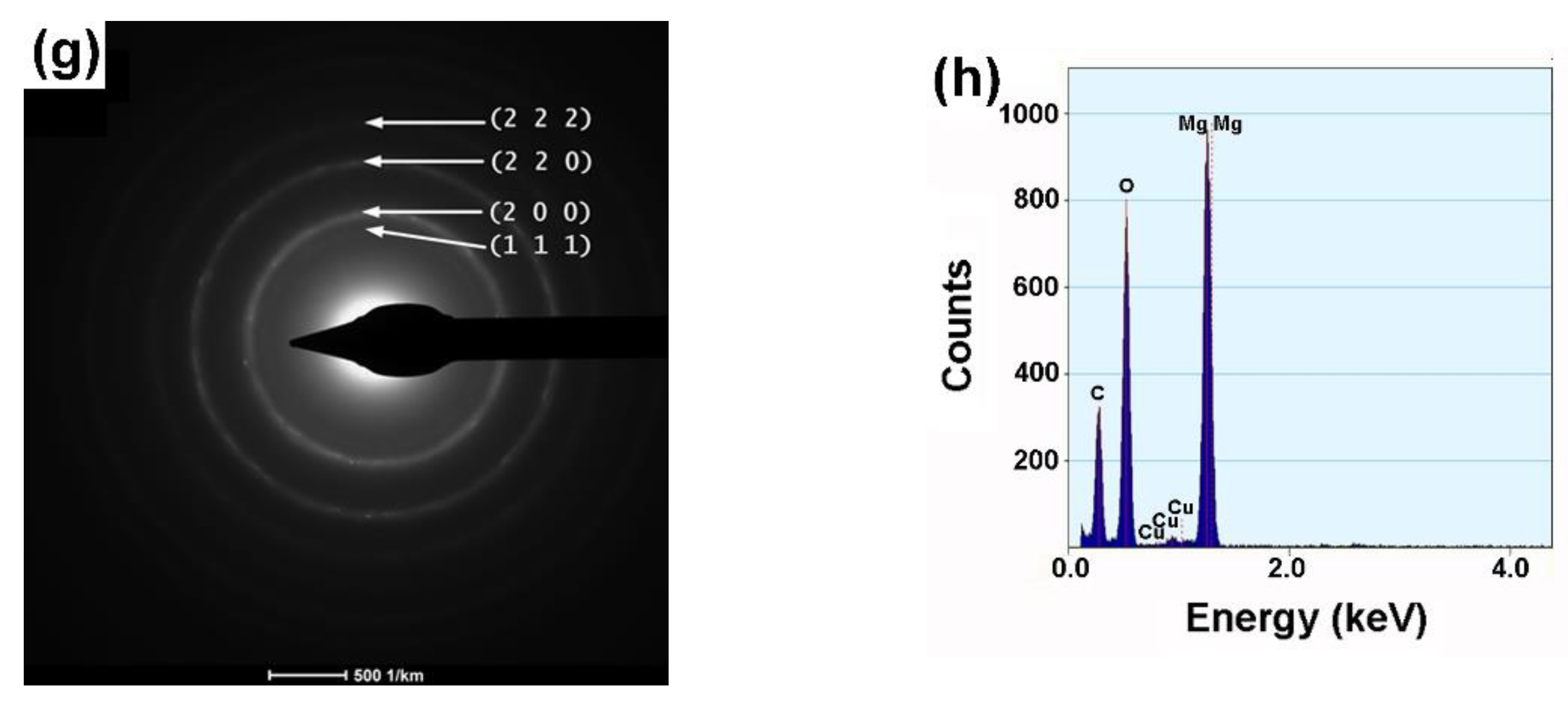 Gels 09 00624 g003b Gels 09 00624 g003b