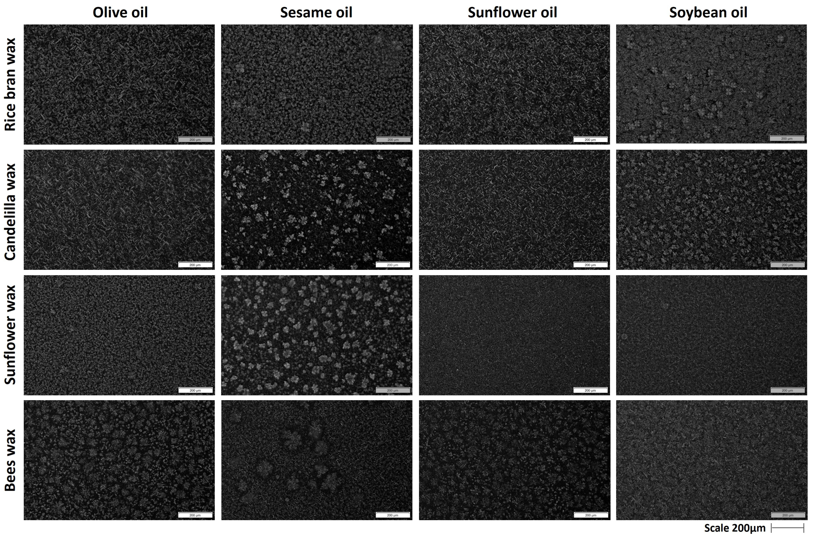 Gels 09 00627 g003 Gels 09 00627 g003