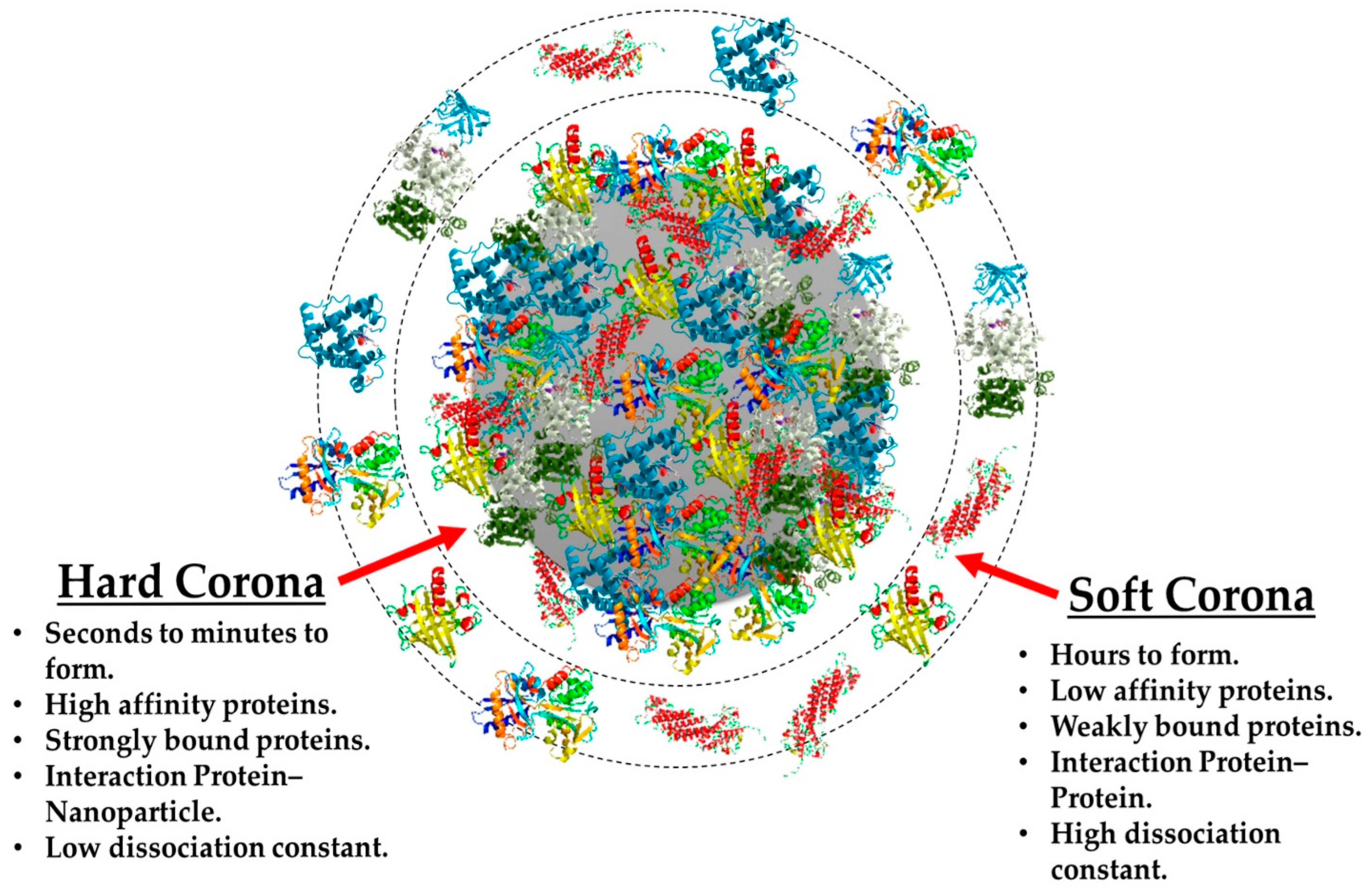 Gels 09 00632 g001 Gels 09 00632 g001
