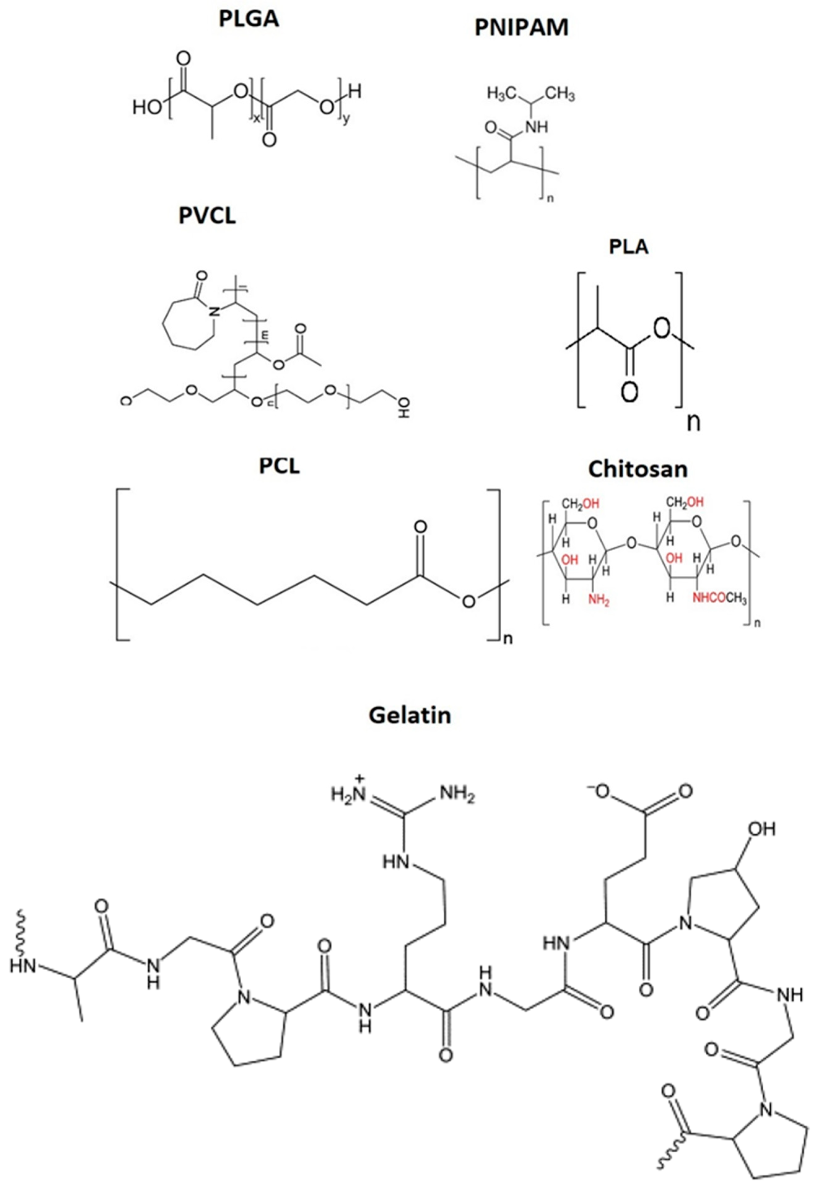 Gels 09 00632 g004 Gels 09 00632 g004