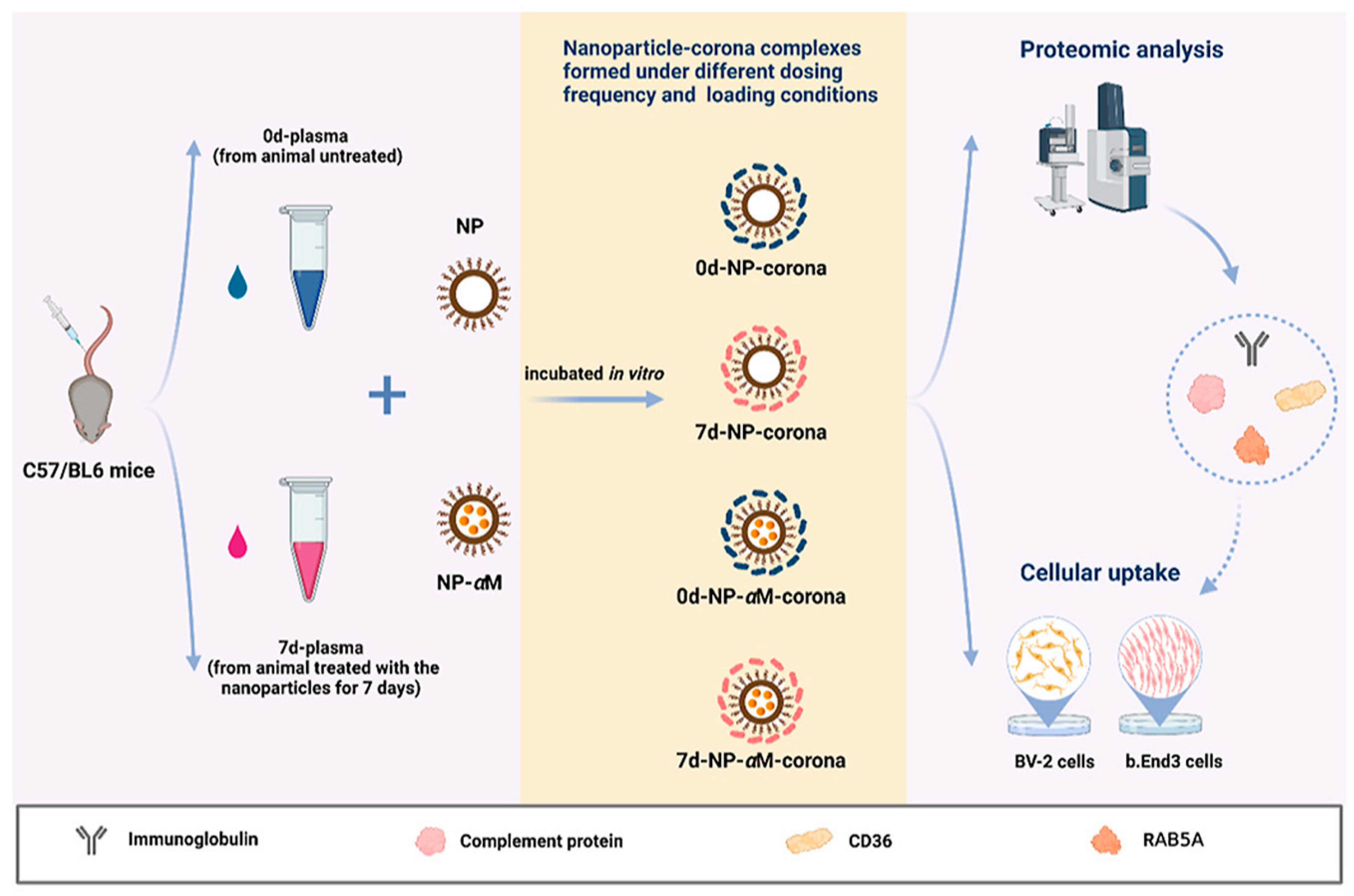 Gels 09 00632 g005 Gels 09 00632 g005