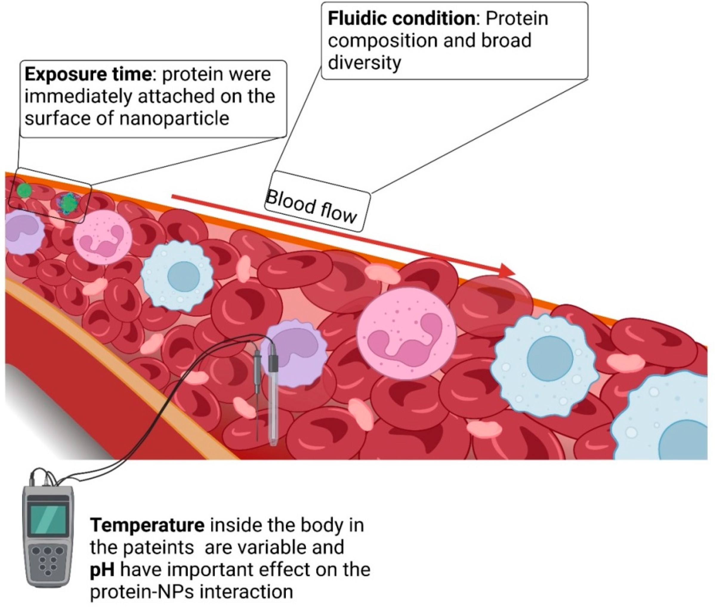 Gels 09 00632 g006 Gels 09 00632 g006