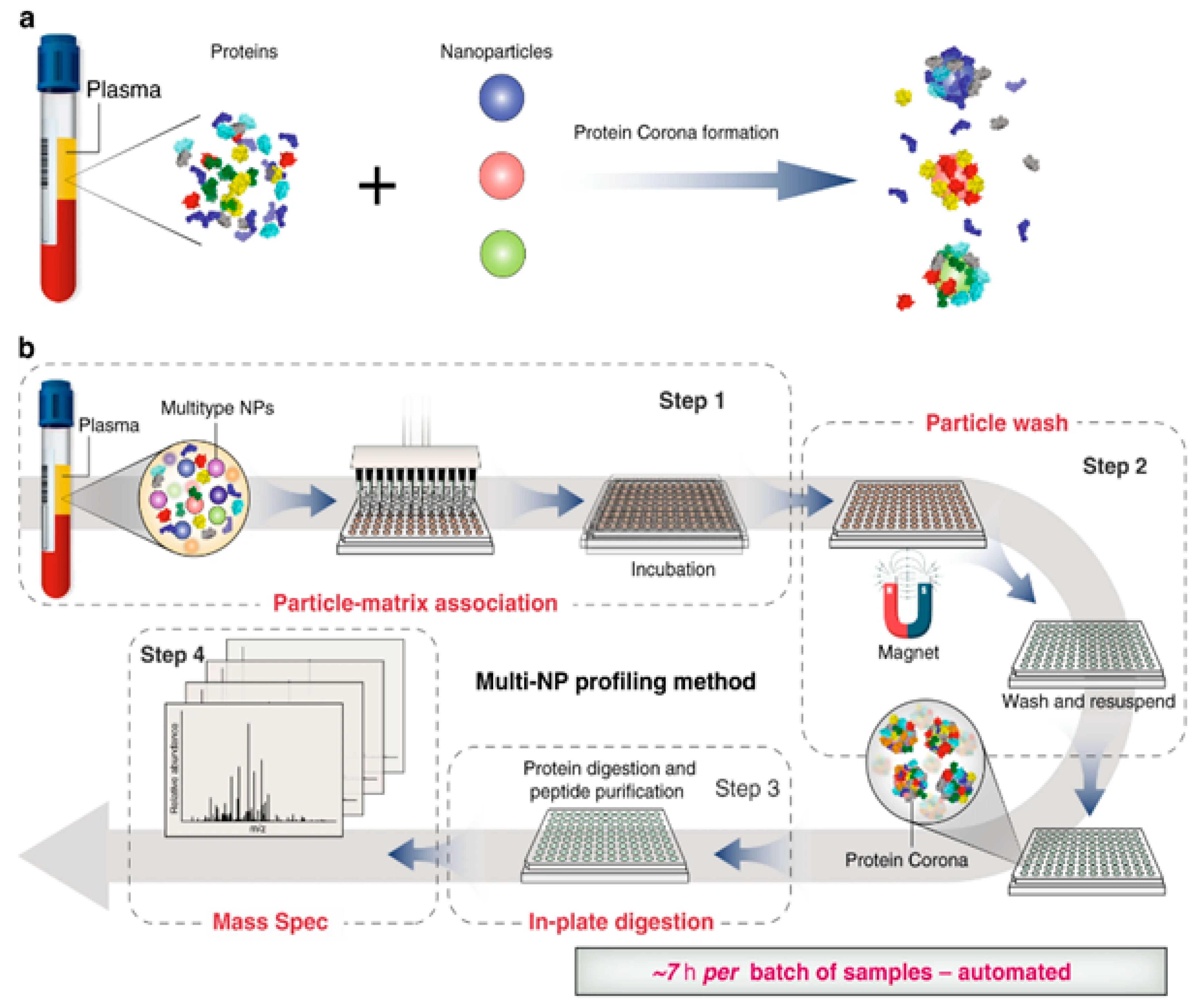 Gels 09 00632 g010 Gels 09 00632 g010