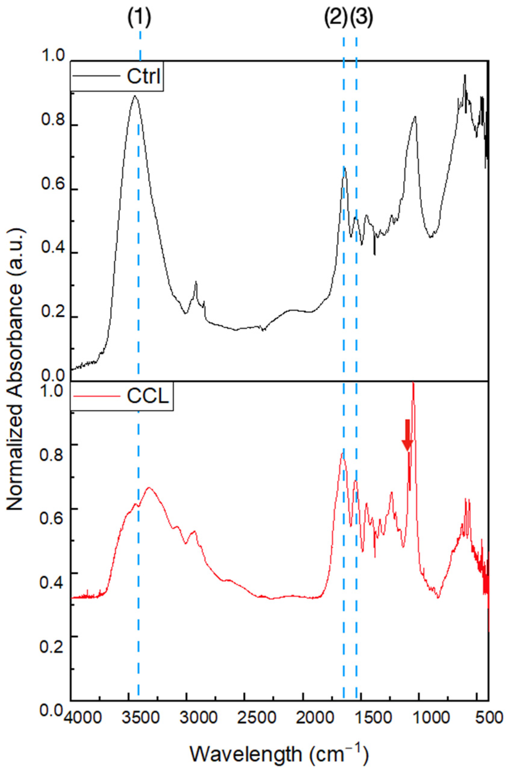 Gels 09 00637 g002 Gels 09 00637 g002