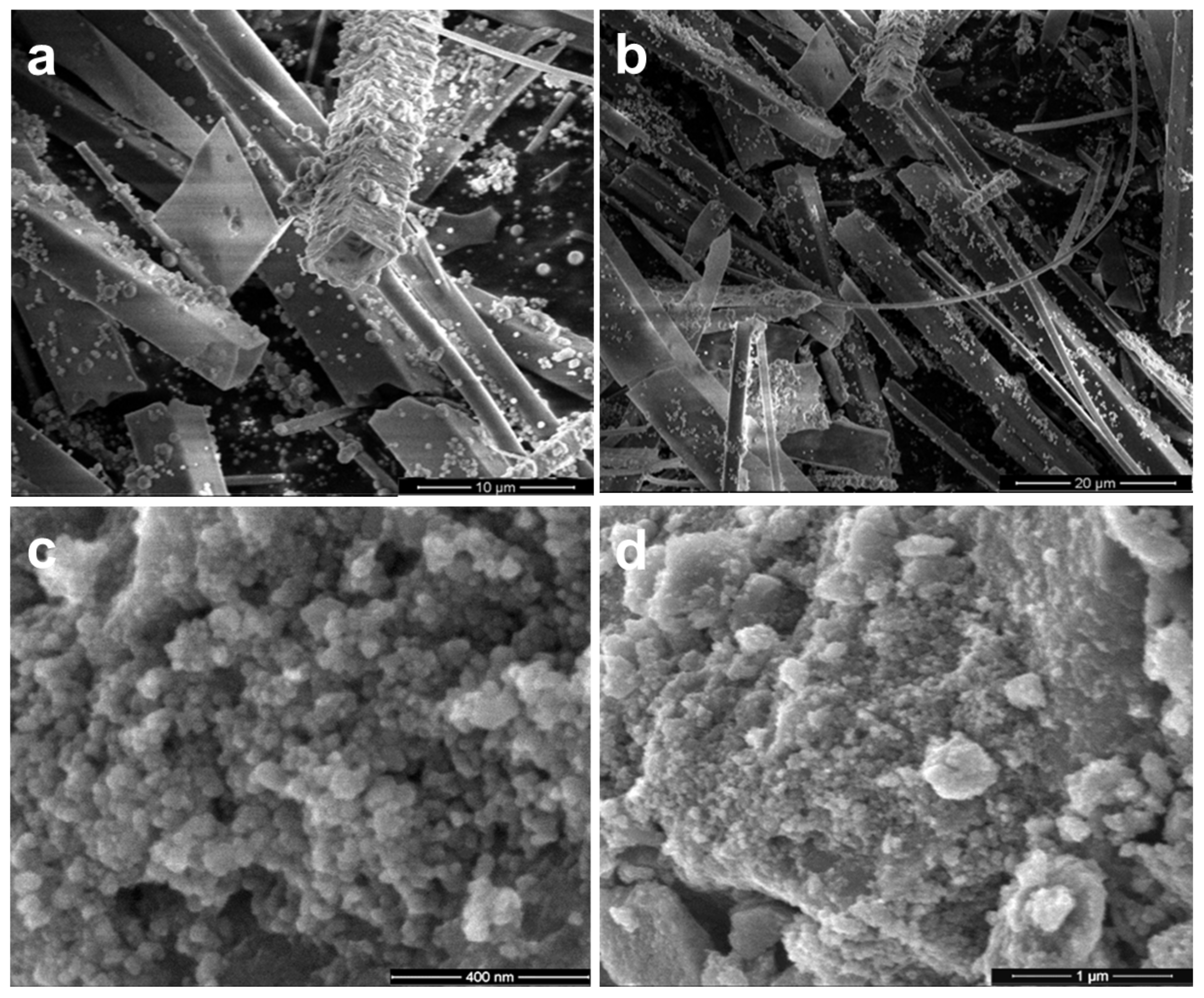 Gels 09 00650 g001 Gels 09 00650 g001