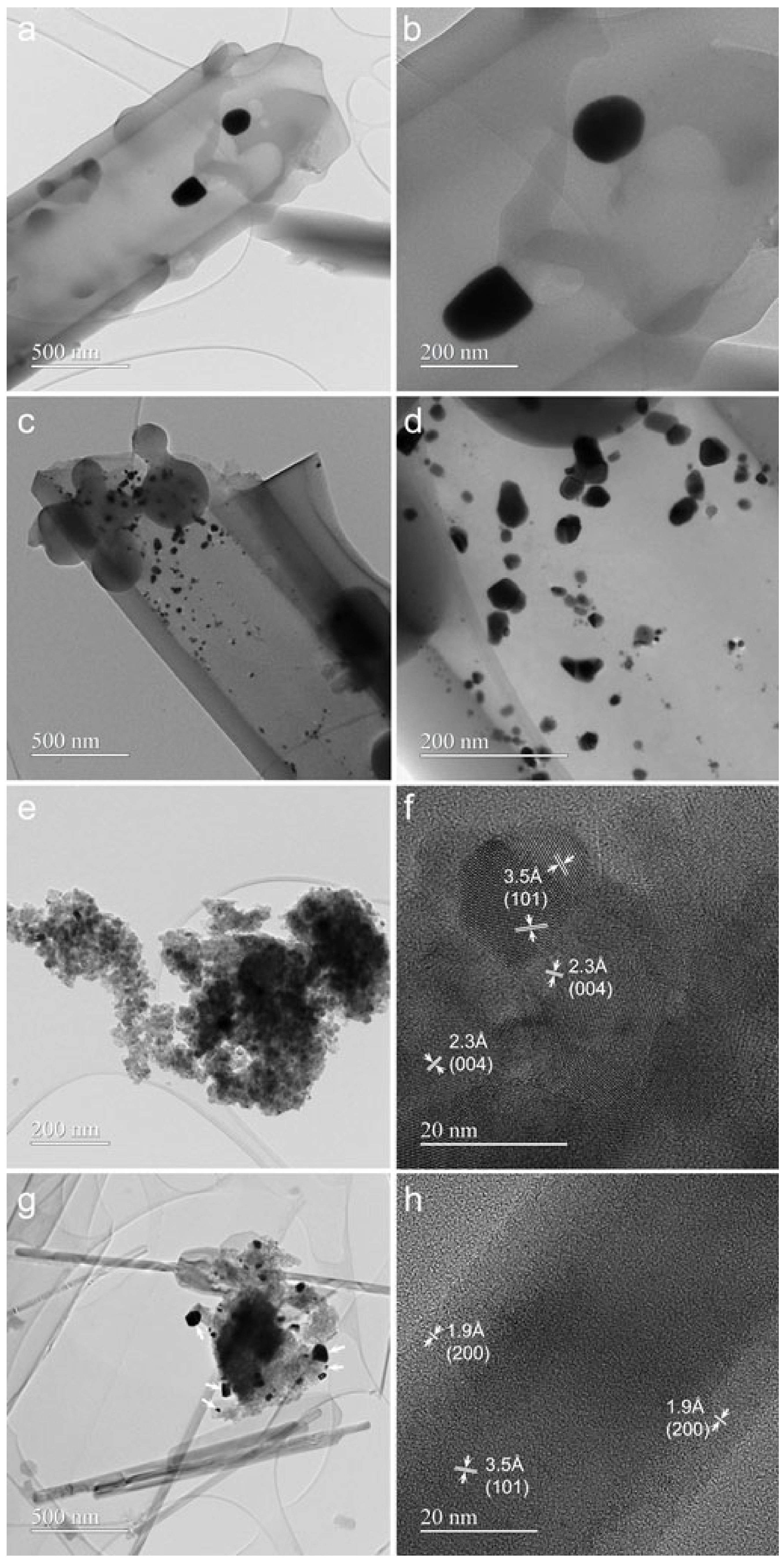 Gels 09 00650 g002 Gels 09 00650 g002