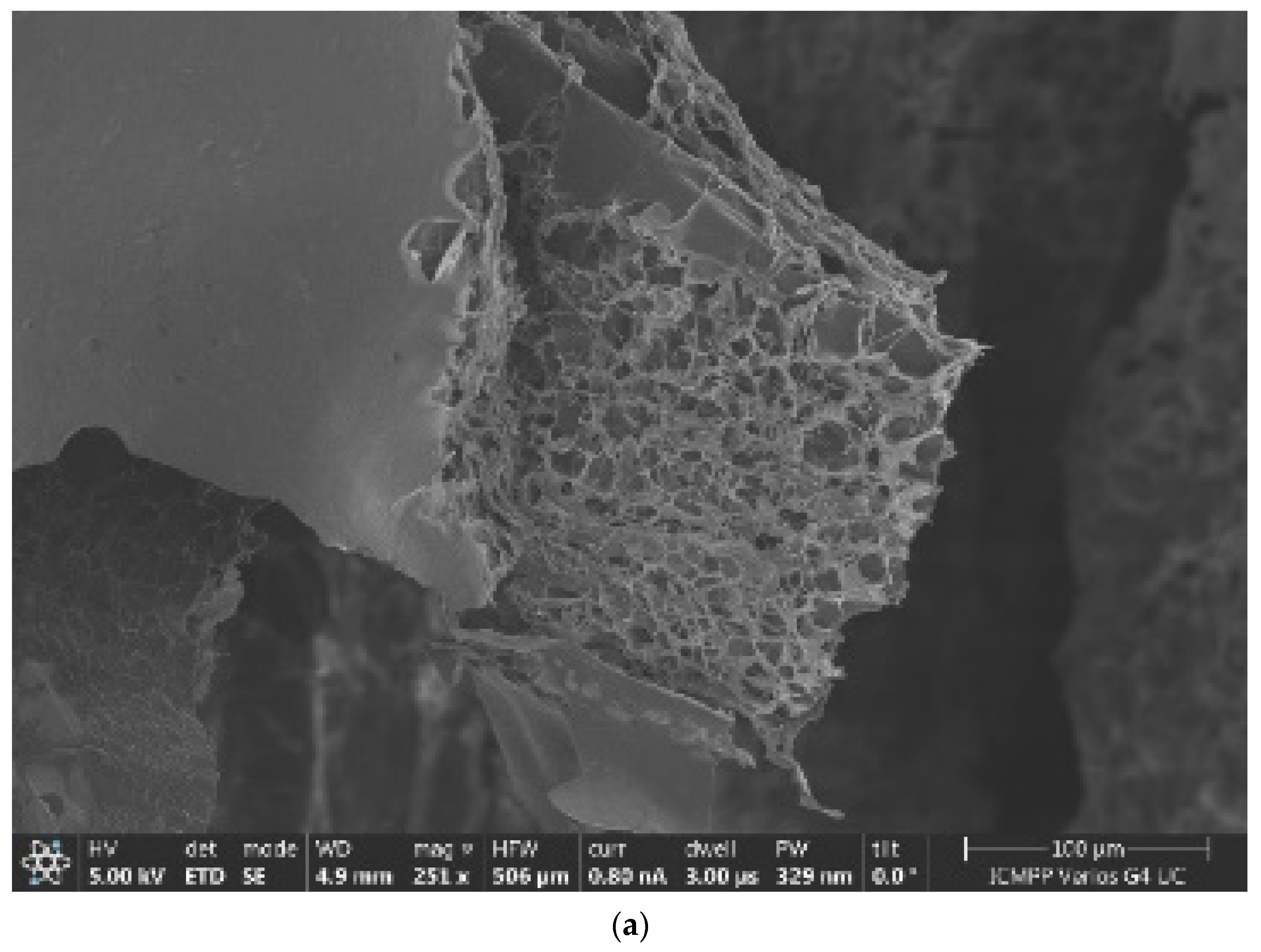 Gels 09 00670 g008a Gels 09 00670 g008a