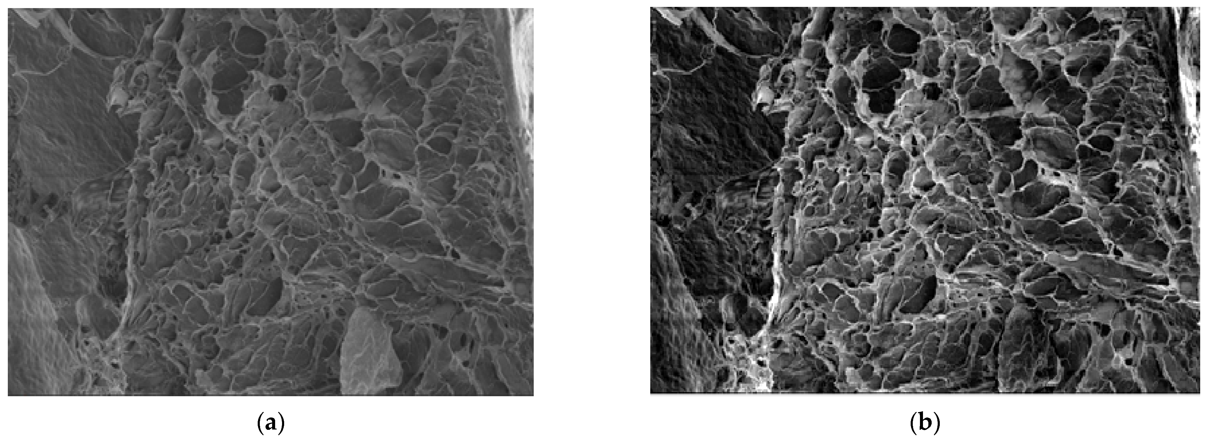 Gels 09 00670 g011 Gels 09 00670 g011