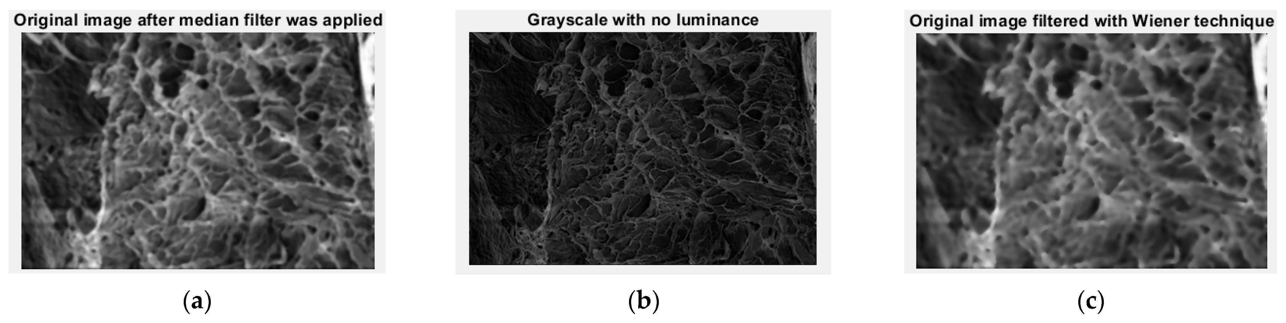 Gels 09 00670 g012 Gels 09 00670 g012