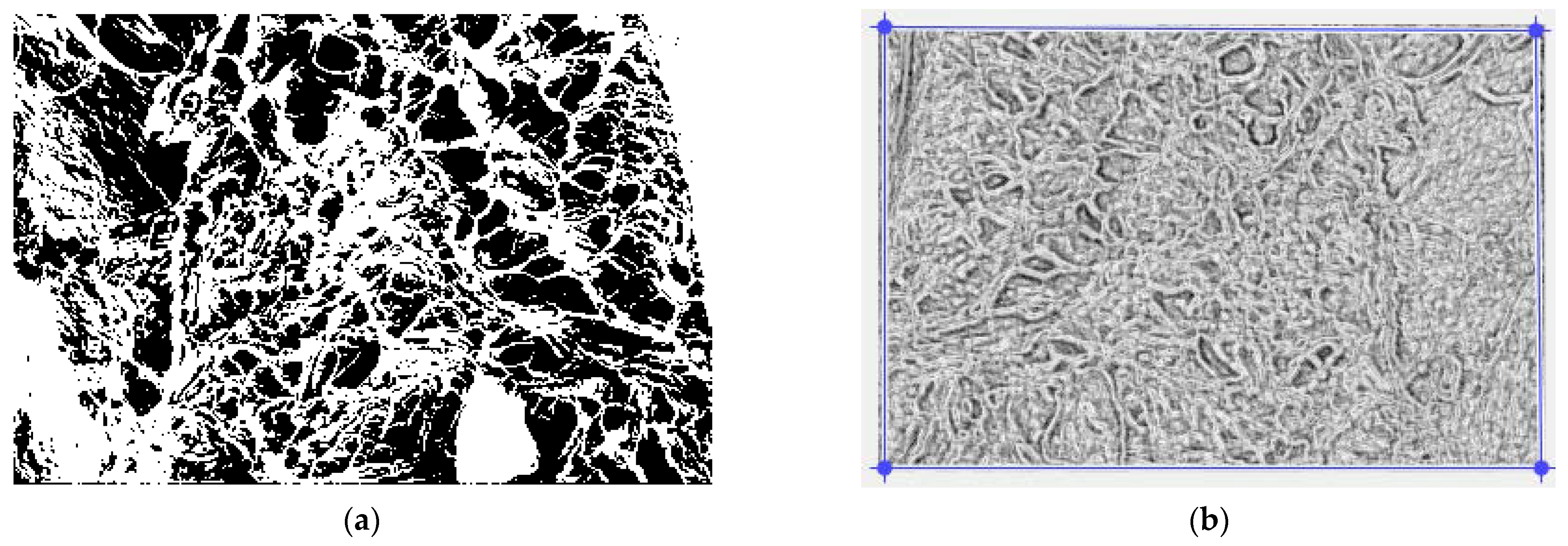 Gels 09 00670 g013 Gels 09 00670 g013