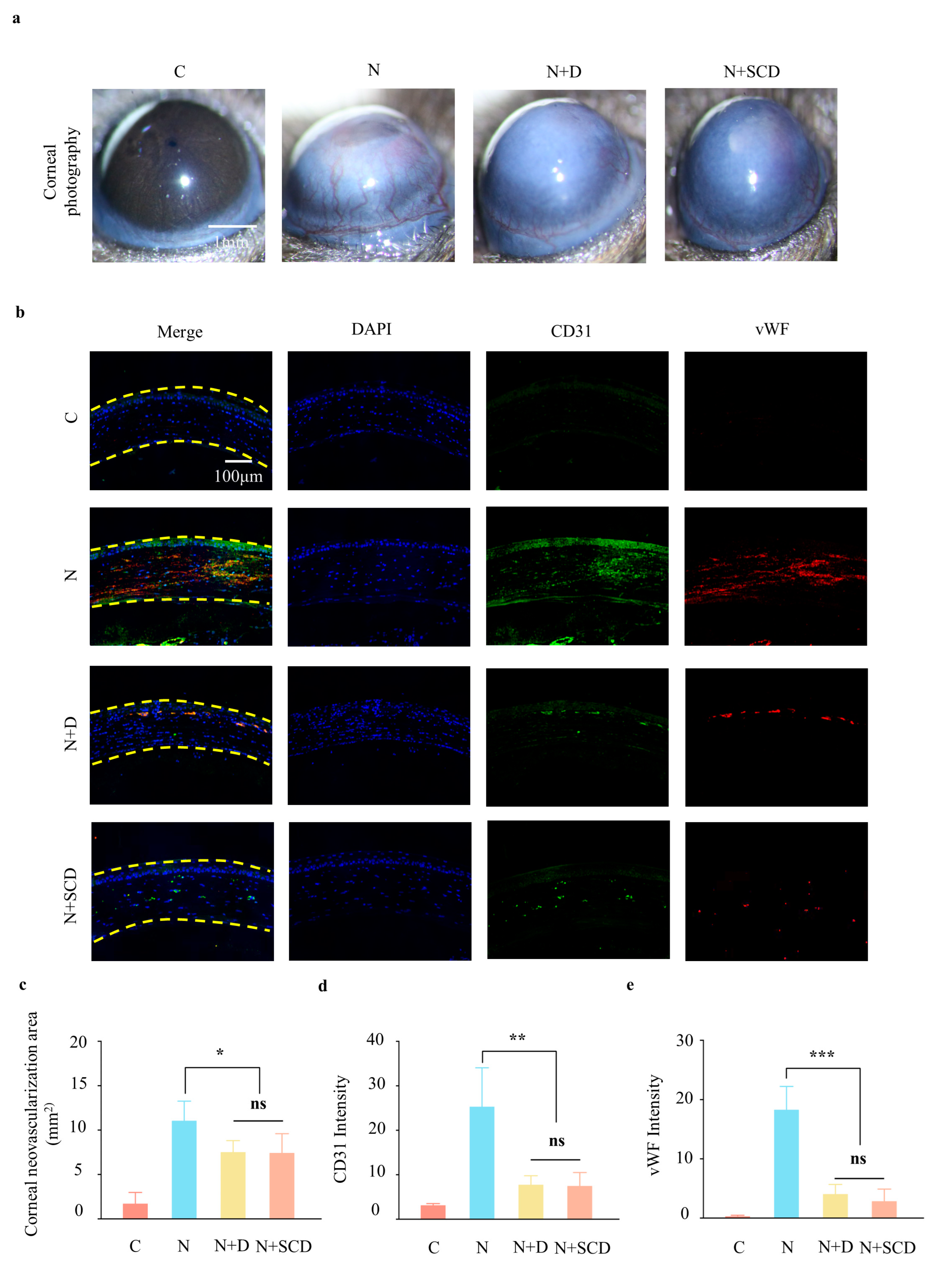 Gels 09 00676 g005 Gels 09 00676 g005