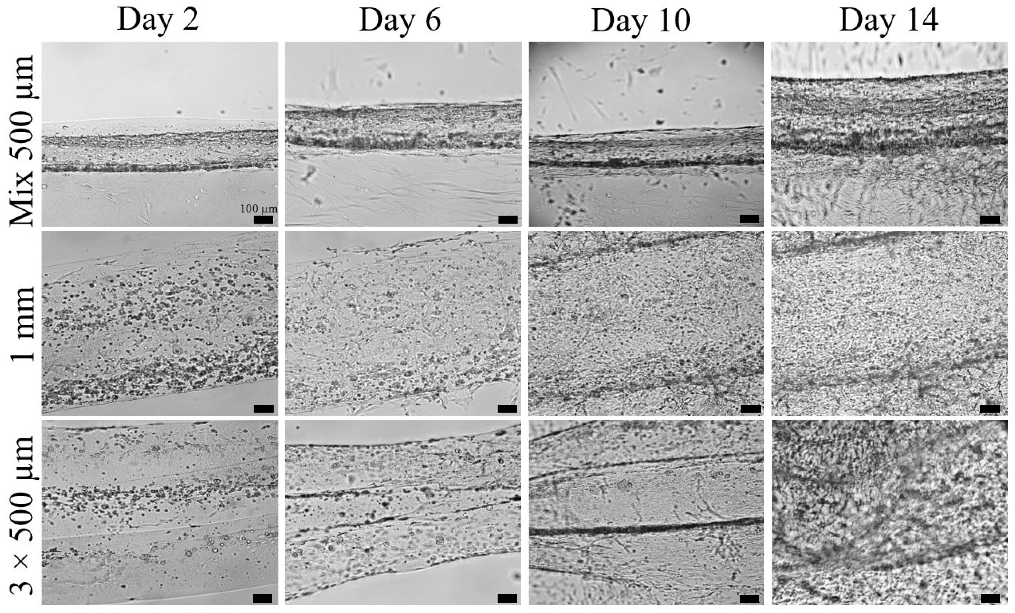 Gels 09 00677 g001 Gels 09 00677 g001