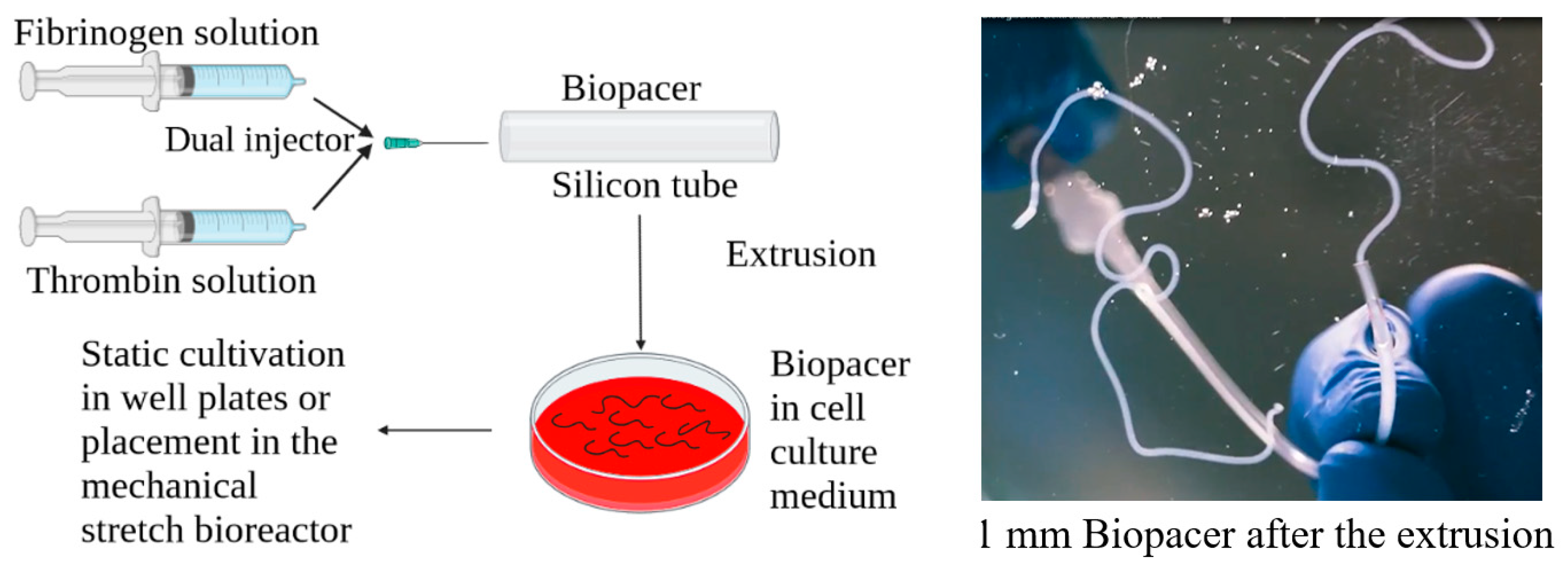 Gels 09 00677 g008 Gels 09 00677 g008