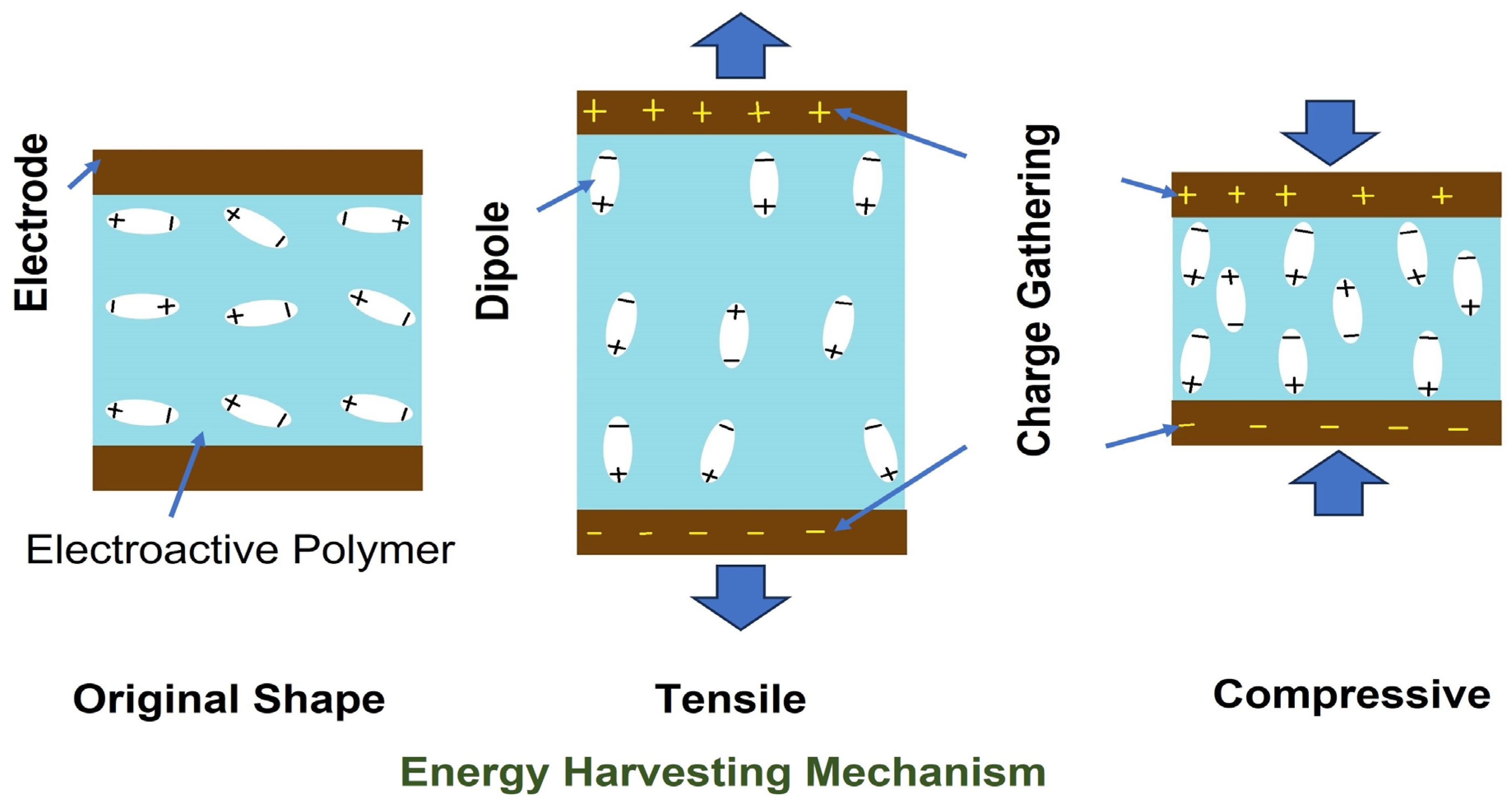Gels 09 00686 sch001