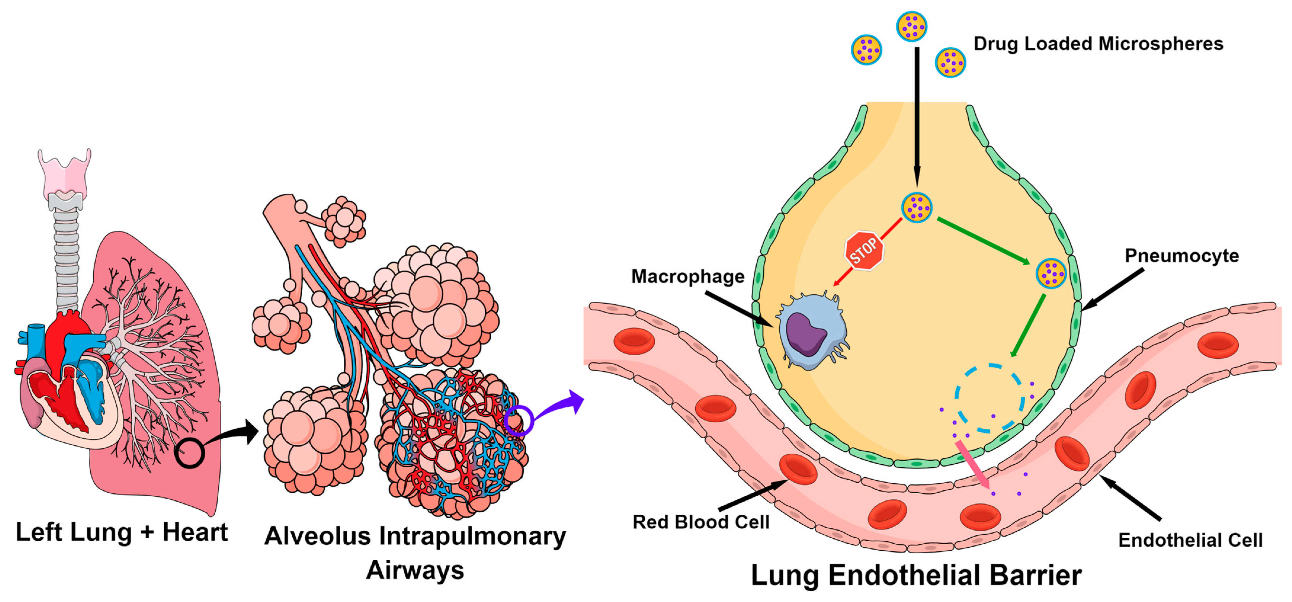 Gels 09 00707 sch001