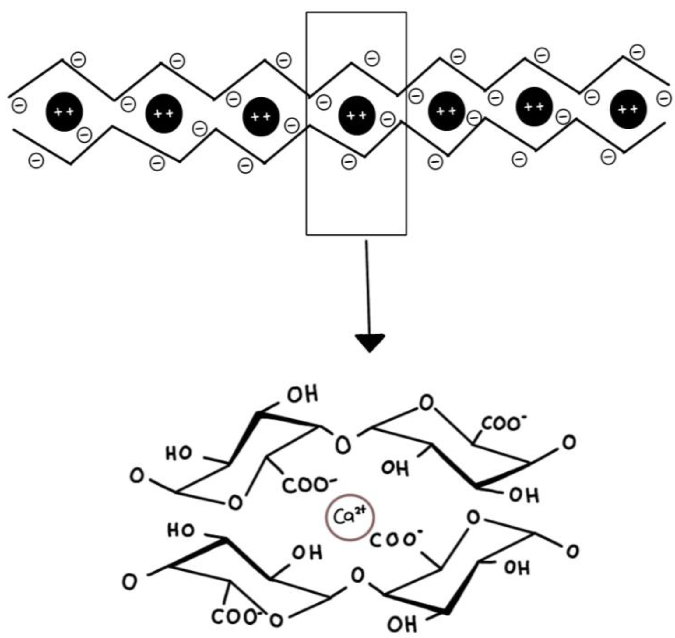 Gels free full text pectin hydrogels gel forming behaviors