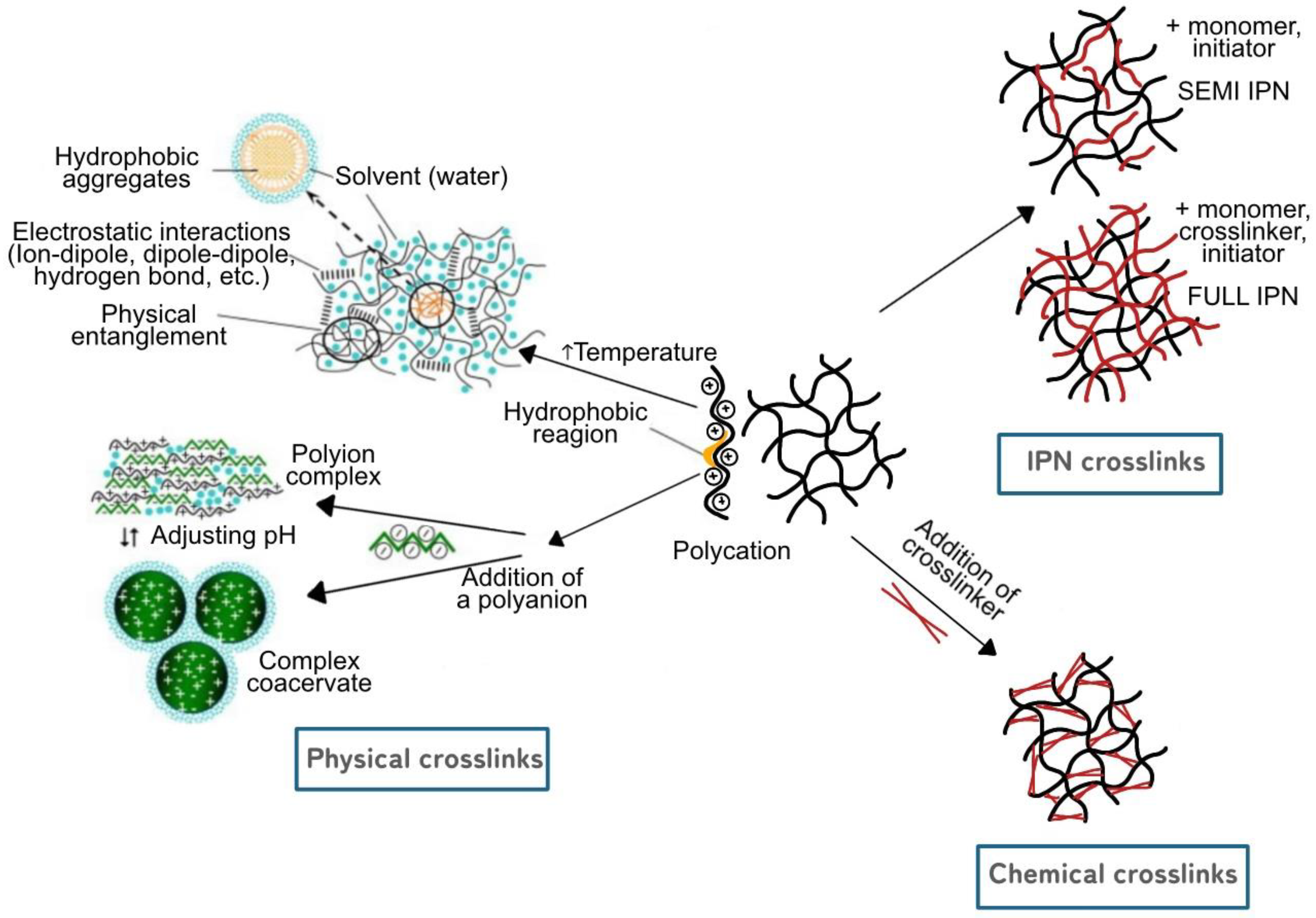 Gels 09 00732 g005 Gels 09 00732 g005