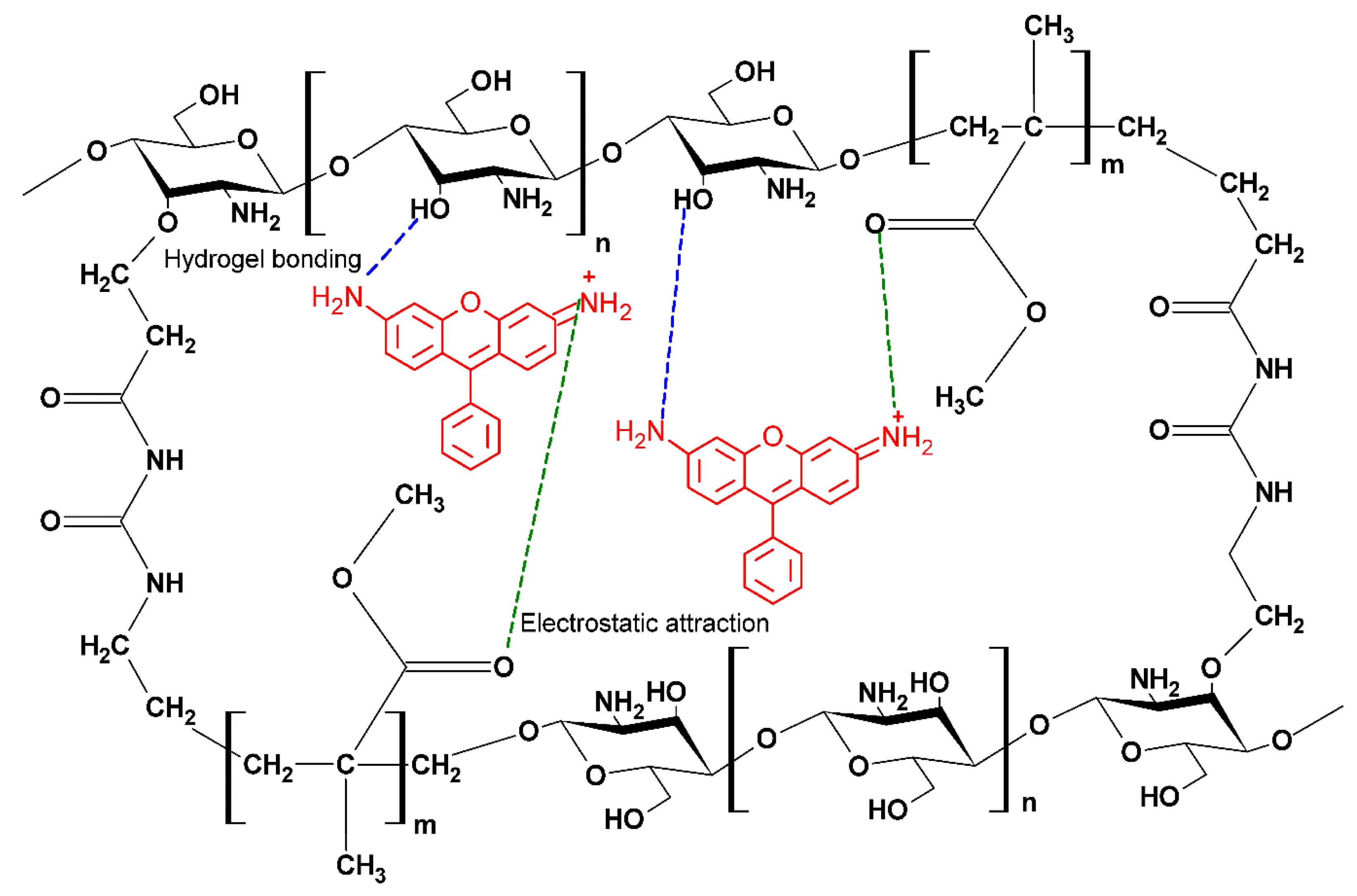 Gels 09 00770 sch002