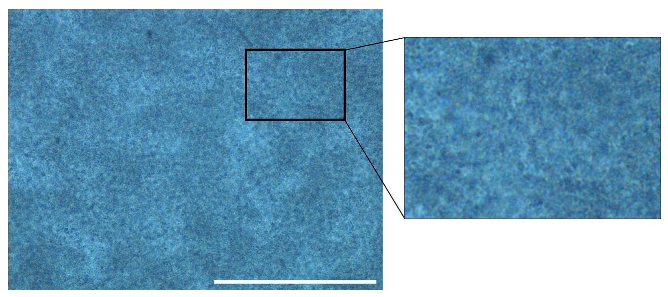 Gels 09 00771 g001 Gels 09 00771 g001