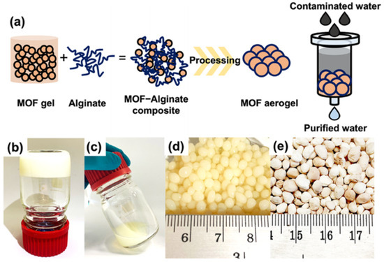Metal–Organic Framework Gels for Adsorption and Catalytic