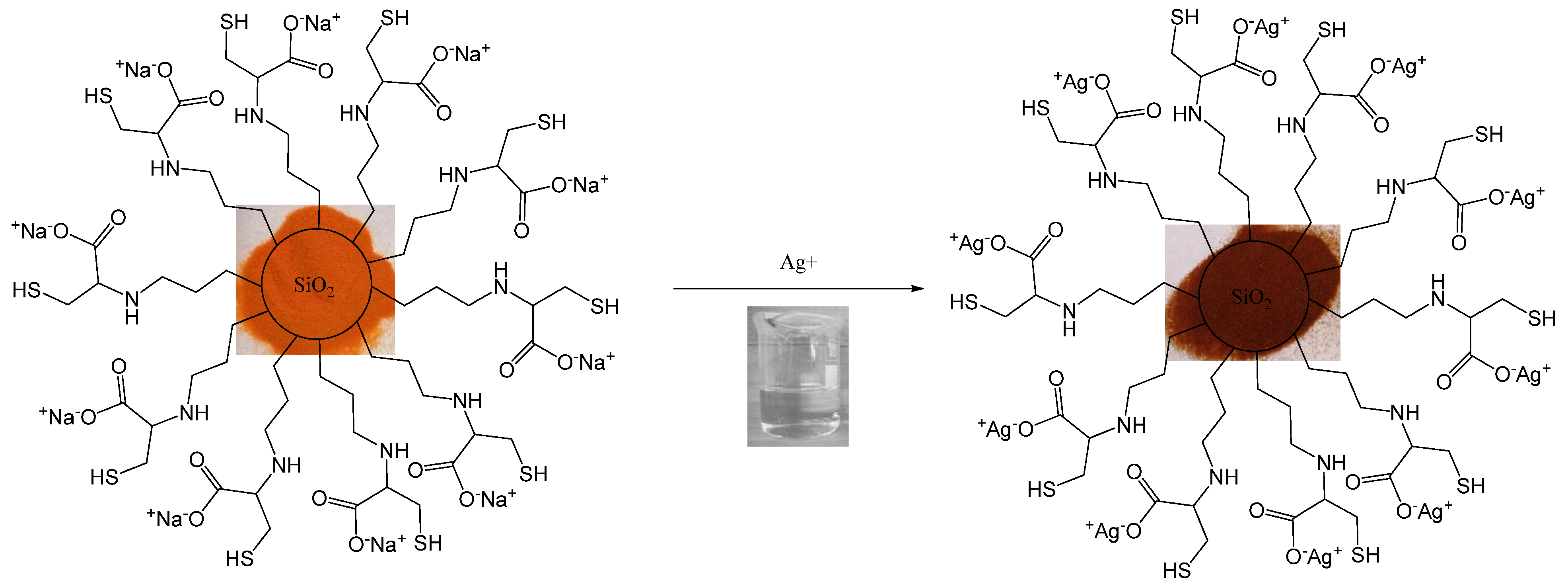 Gels 09 00865 sch001
