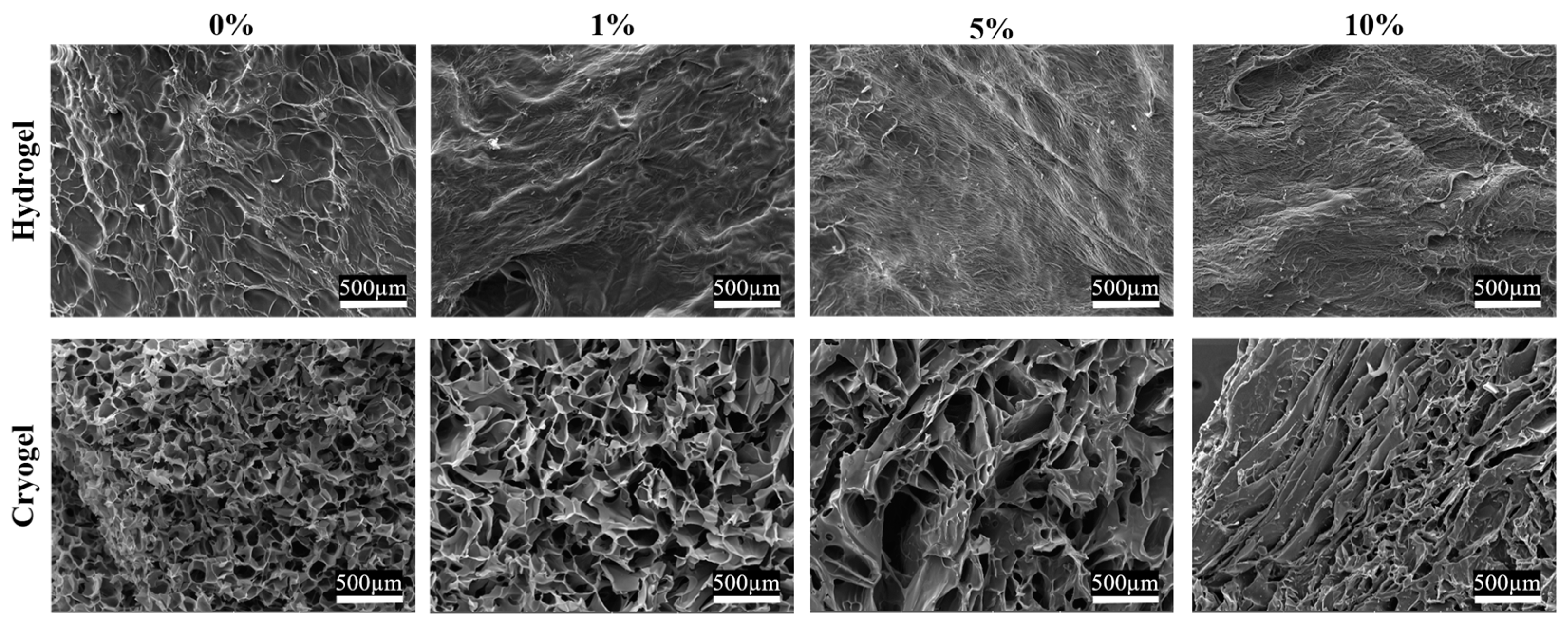 Gels 09 00877 g002 Gels 09 00877 g002