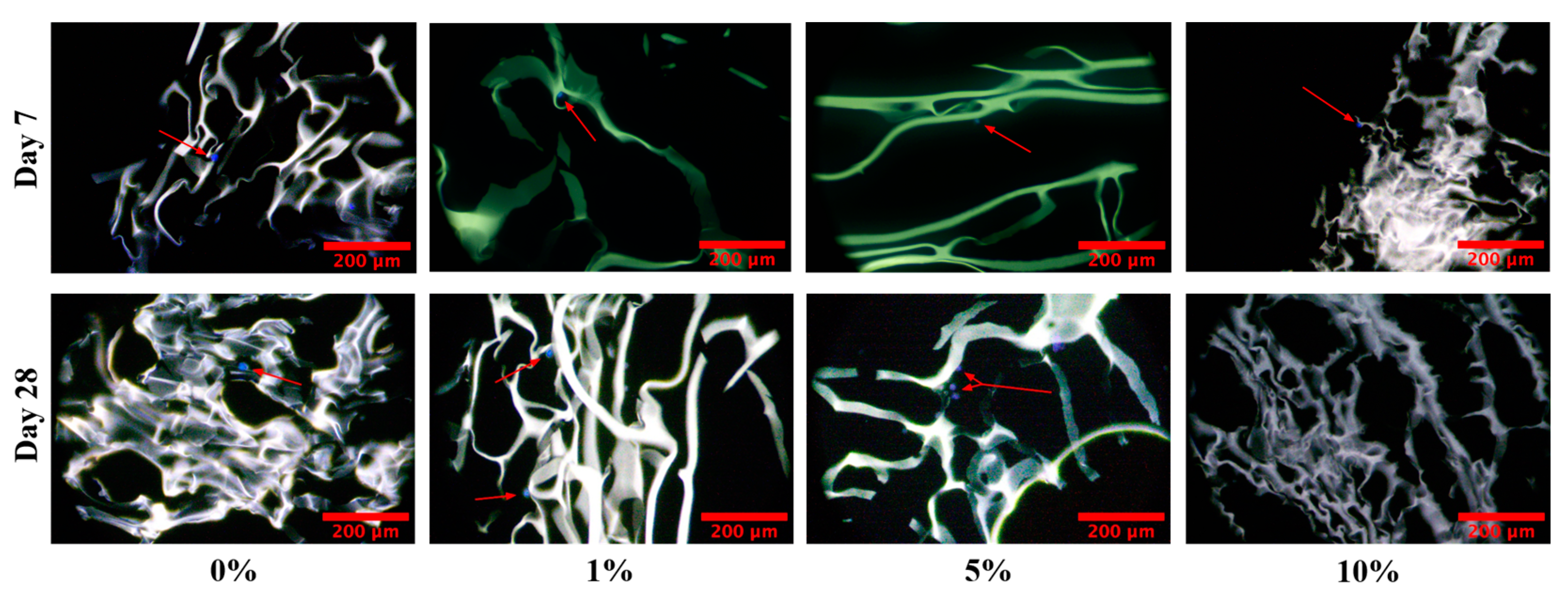 Gels 09 00877 g011 Gels 09 00877 g011