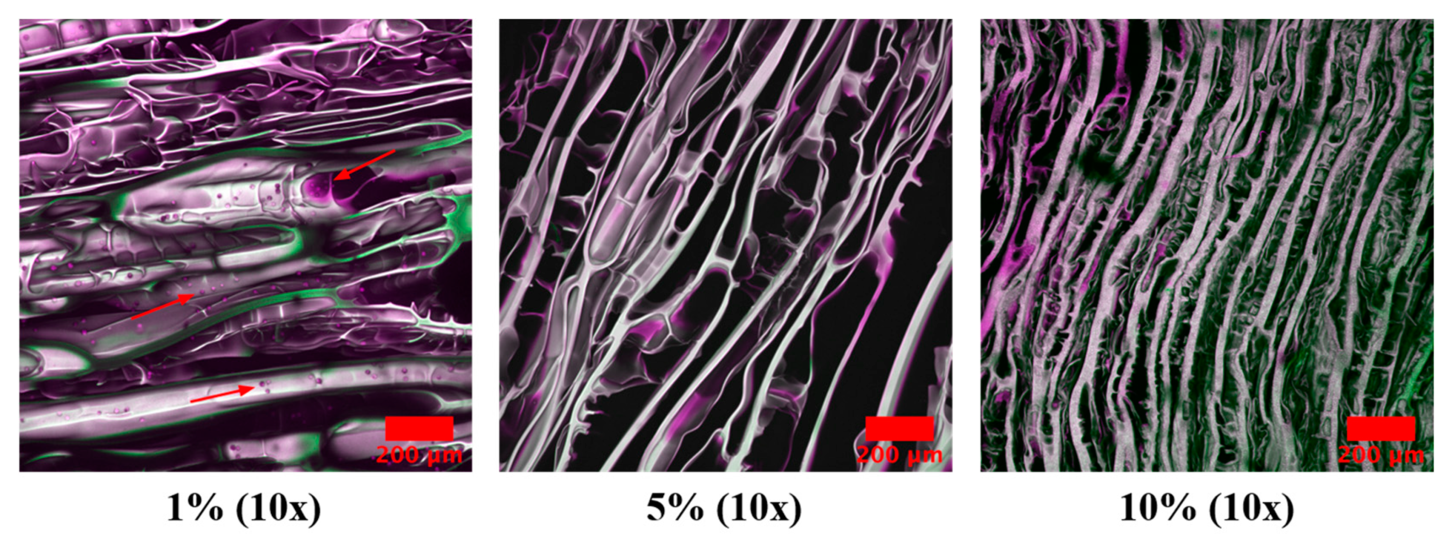 Gels 09 00877 g012 Gels 09 00877 g012