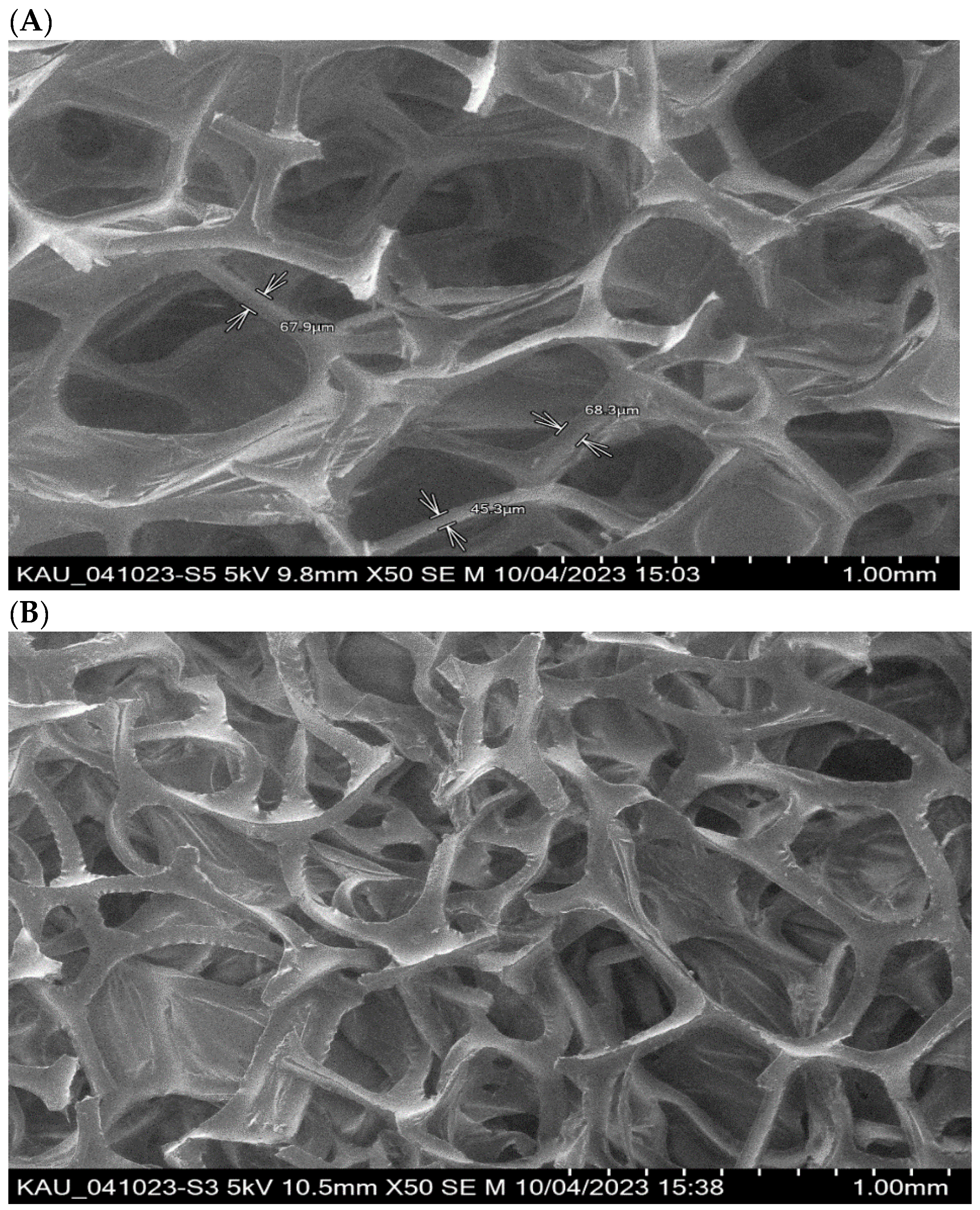 Gels 09 00884 g002 Gels 09 00884 g002